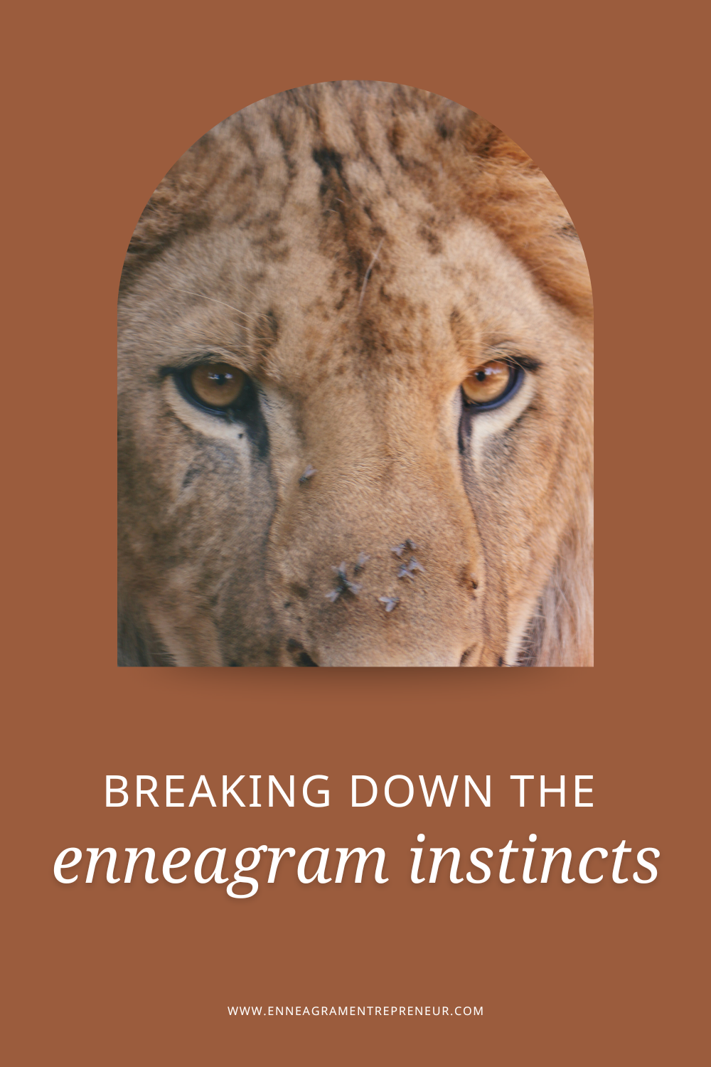 What Are the Enneagram Instincts? 