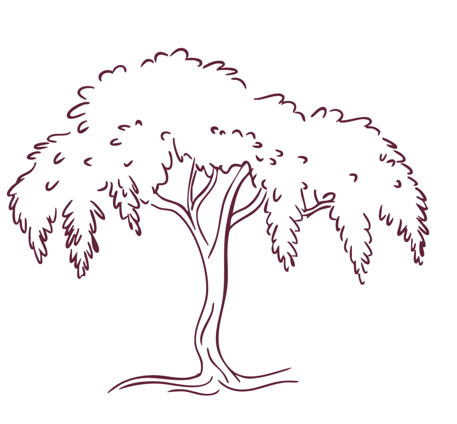 Wisteria Illustration.png