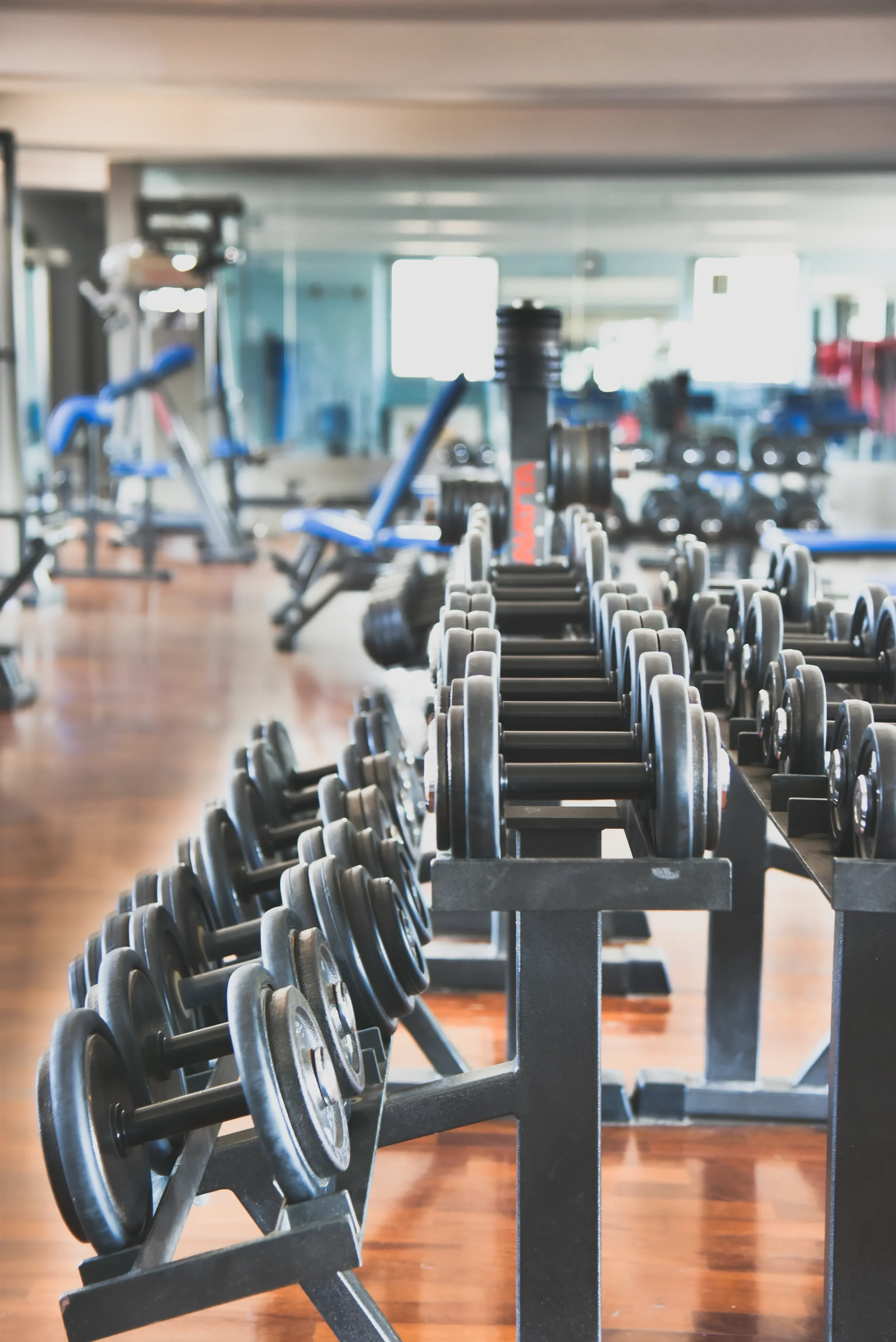 Set di manubri disposti su rastrelliera in palestra con attrezzature da allenamento sullo sfondo.