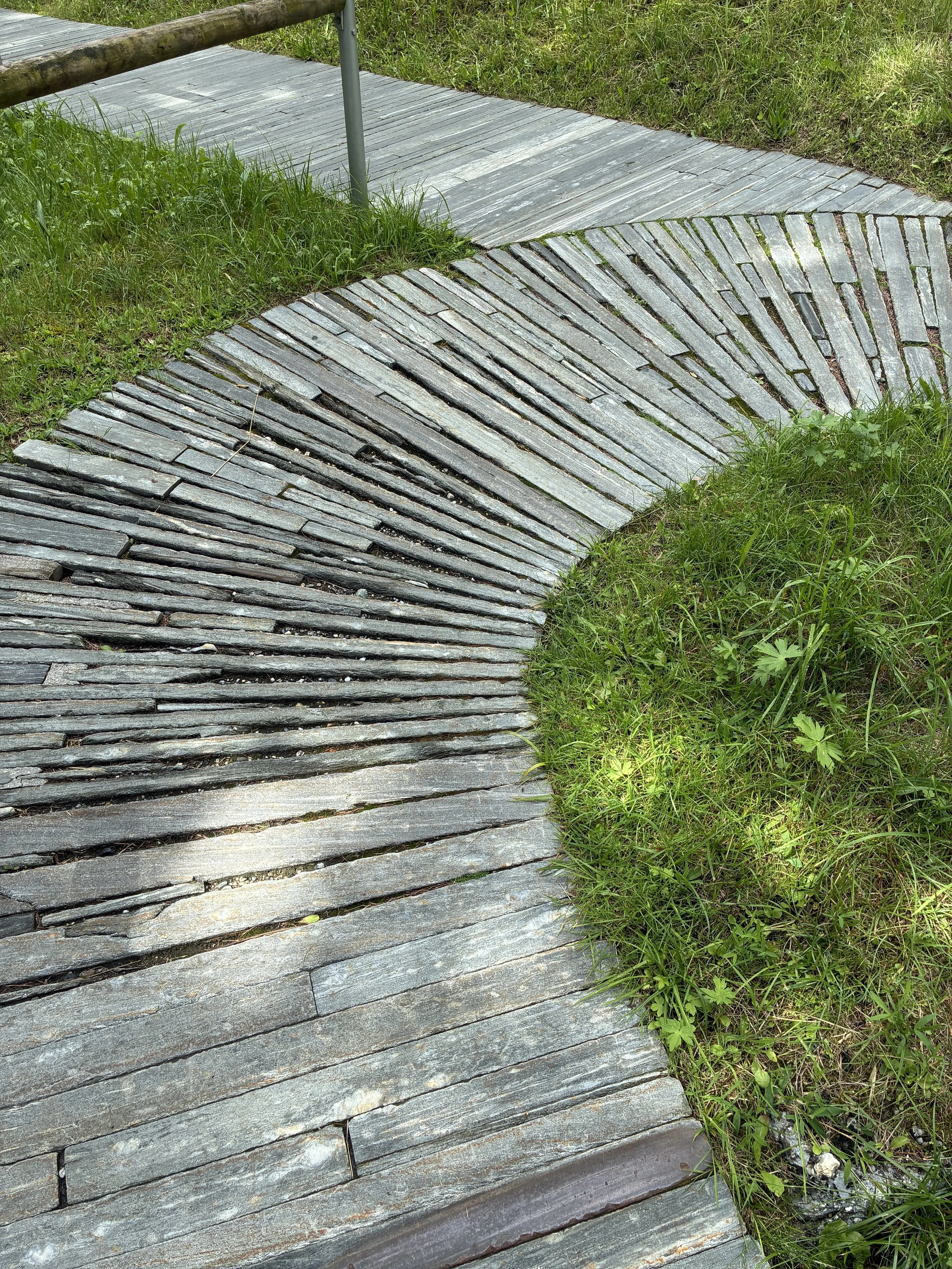 Curving stone pathway surrounded by grass and small plants, with a metal railing on the left side.