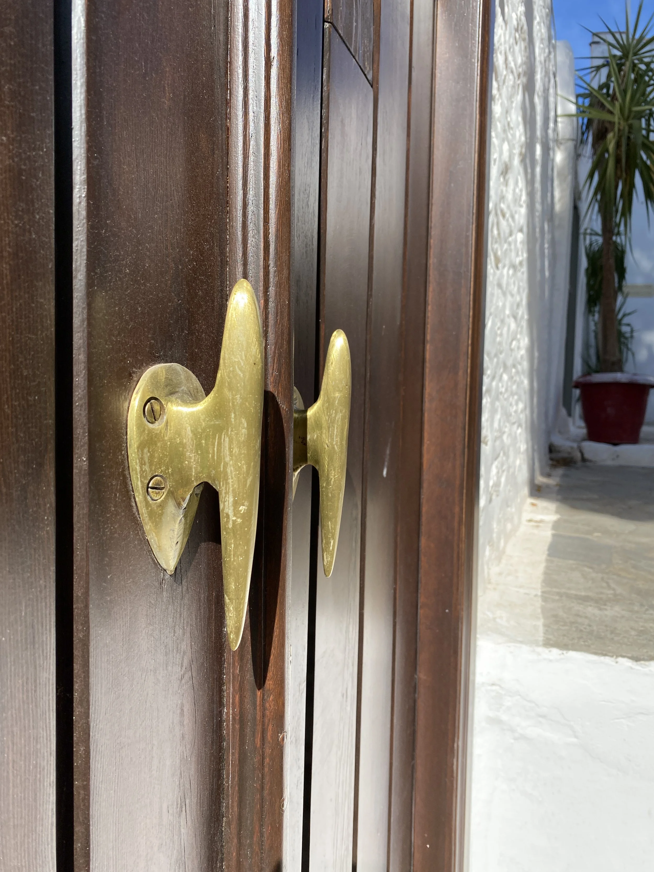 Close-up of a brass door handle on a wooden door, with a potted plant visible in the background under a bright sky.