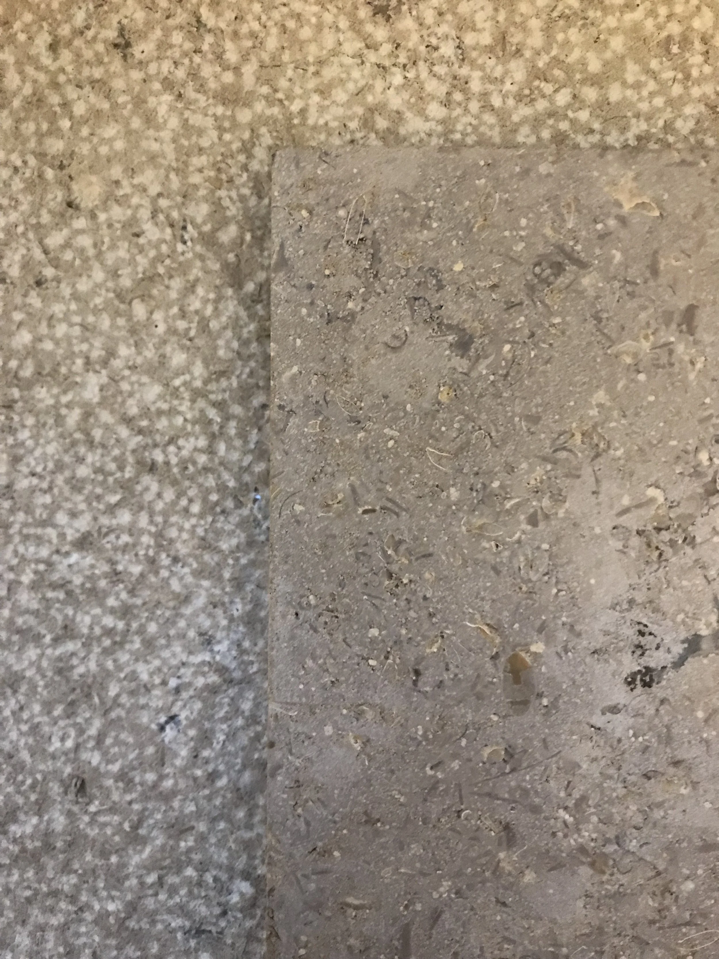 Close-up view of a concrete floor with a small concrete slab embedded in the dirt.