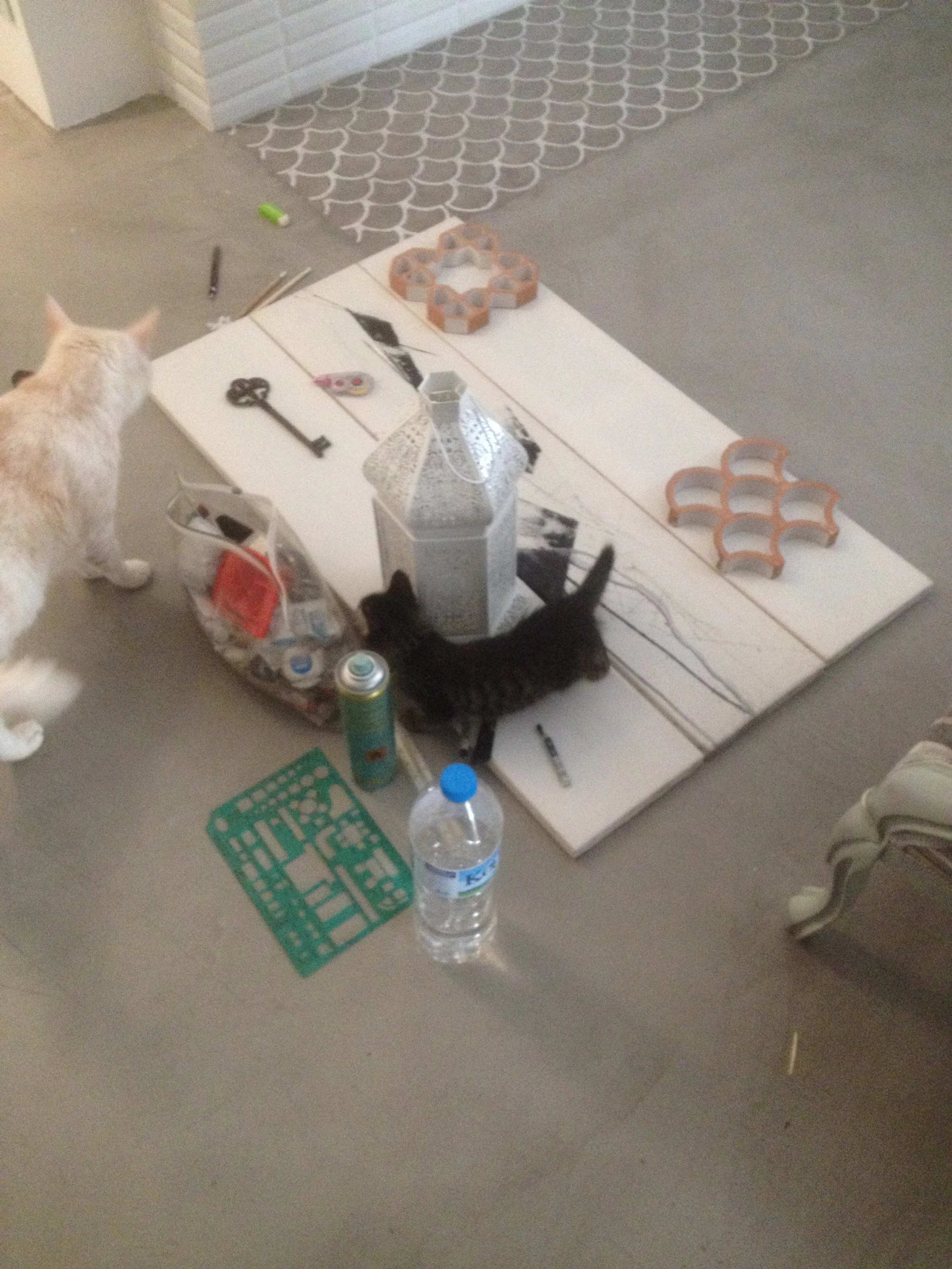 A table with various items including a black key, a water bottle, a black pen, a black marker, a wallet, a toy or model with orange and blue colors, and some small containers. There are two cats, one white and orange, the other black, on or near the 