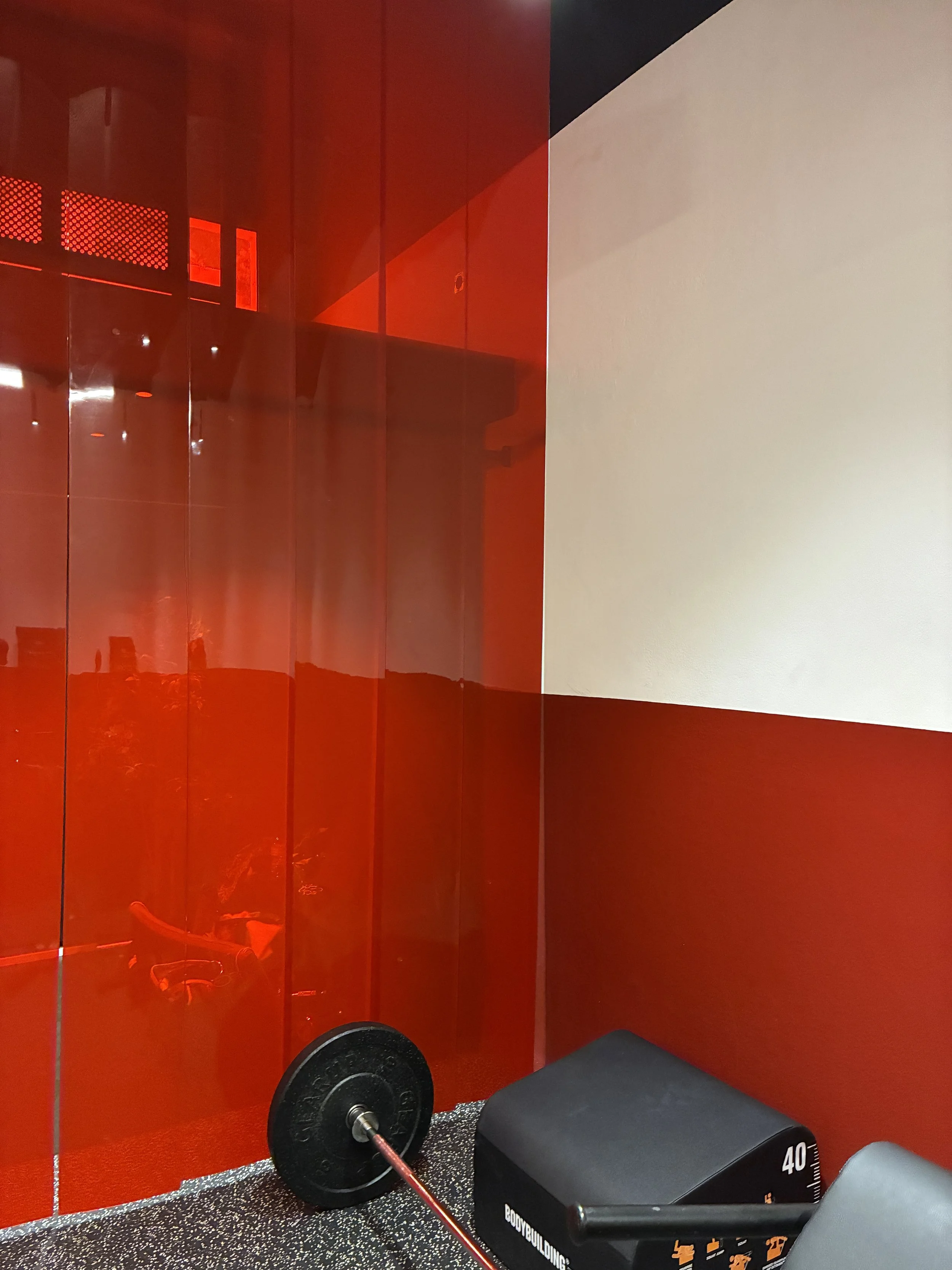 Gym workout corner with a black weight plate and a cable machine handle on a carpeted floor, against a red and white wall.