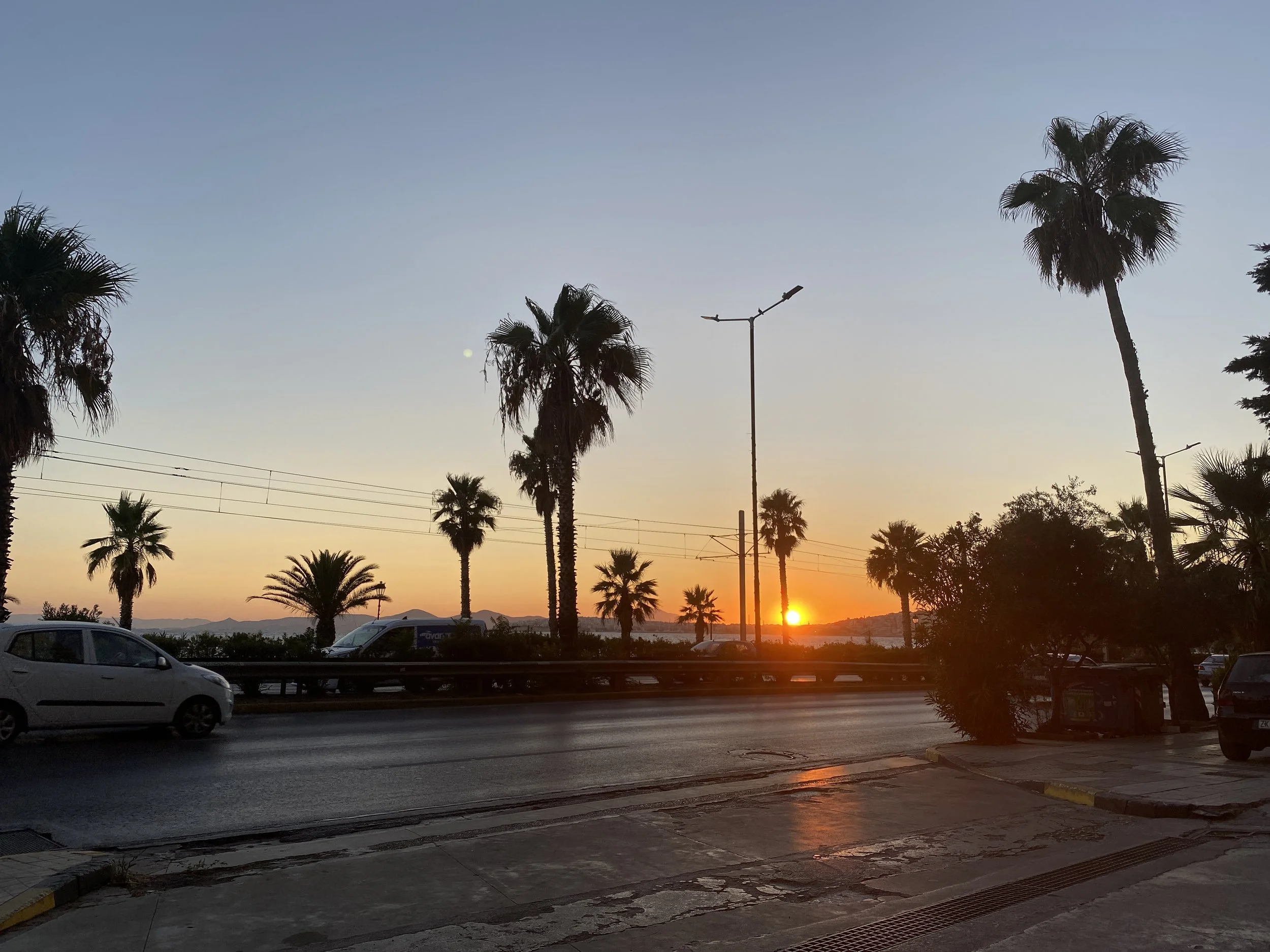 Sunset over palm trees and a parking lot with cars on a city street.