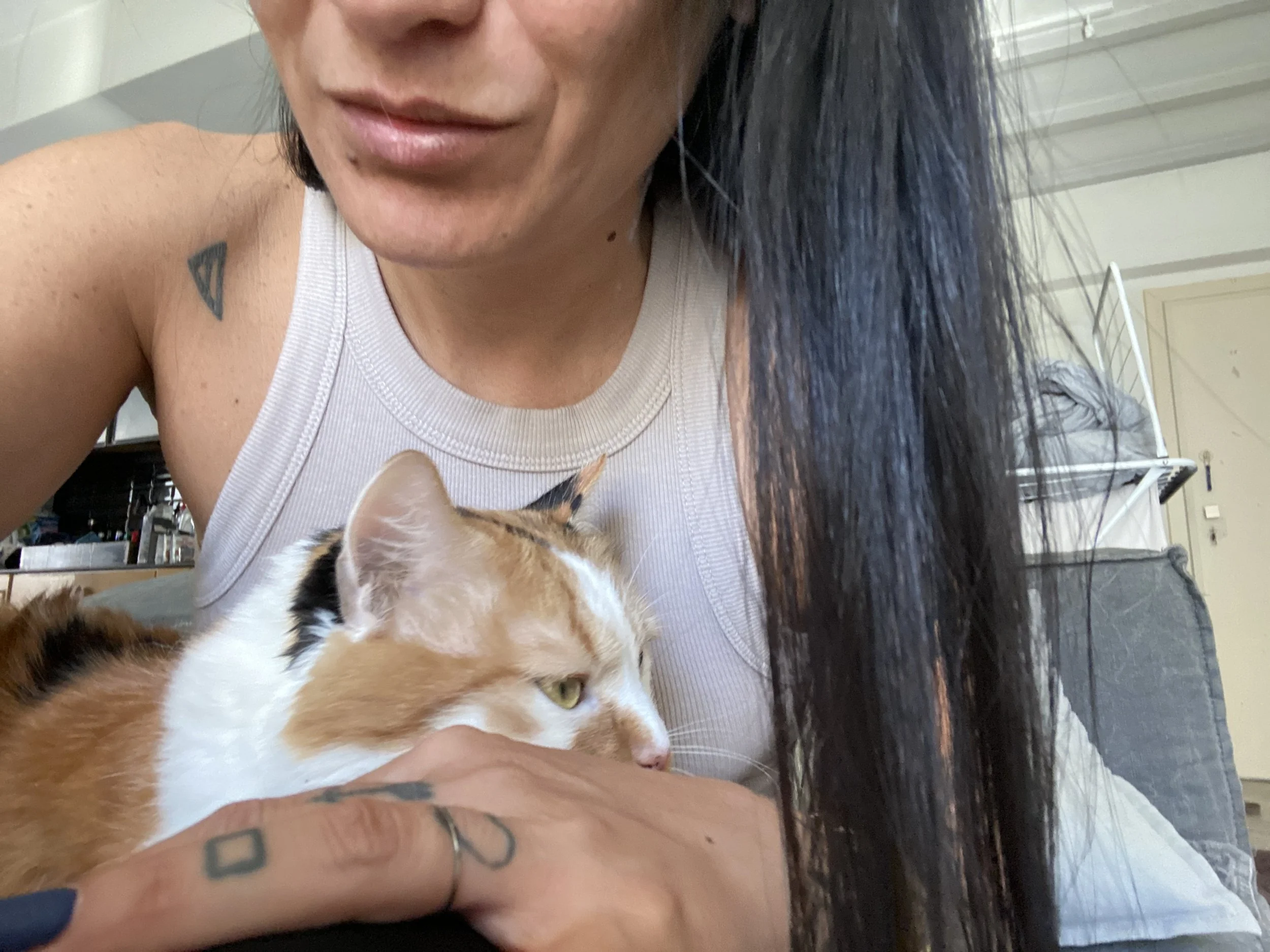 A woman with dark hair, tattooed arm, and wearing a white shirt is holding and gently leaning her face towards a calico cat with orange, black, and white fur, looking attentively to the side.