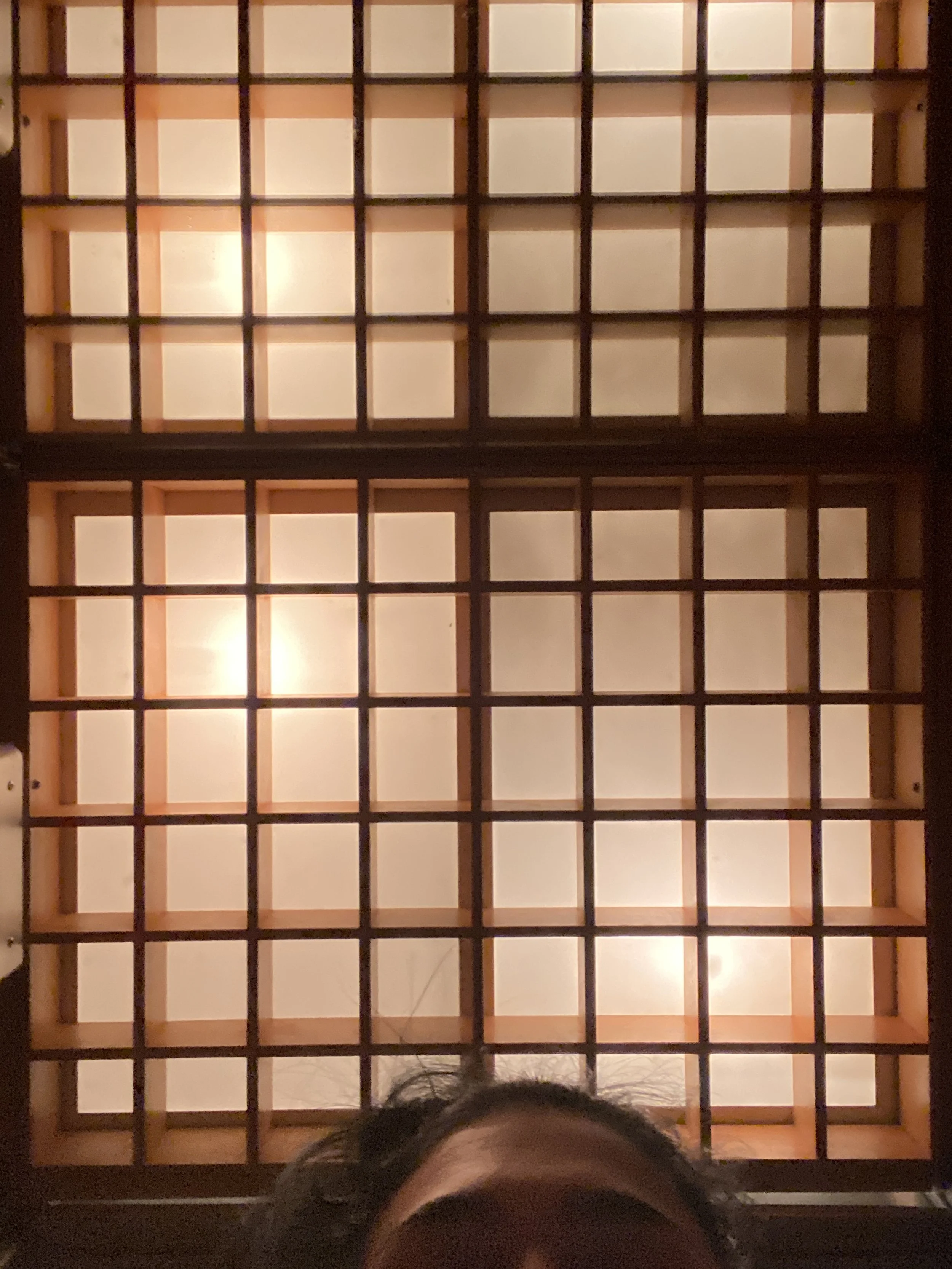 Ceiling with wooden grid design