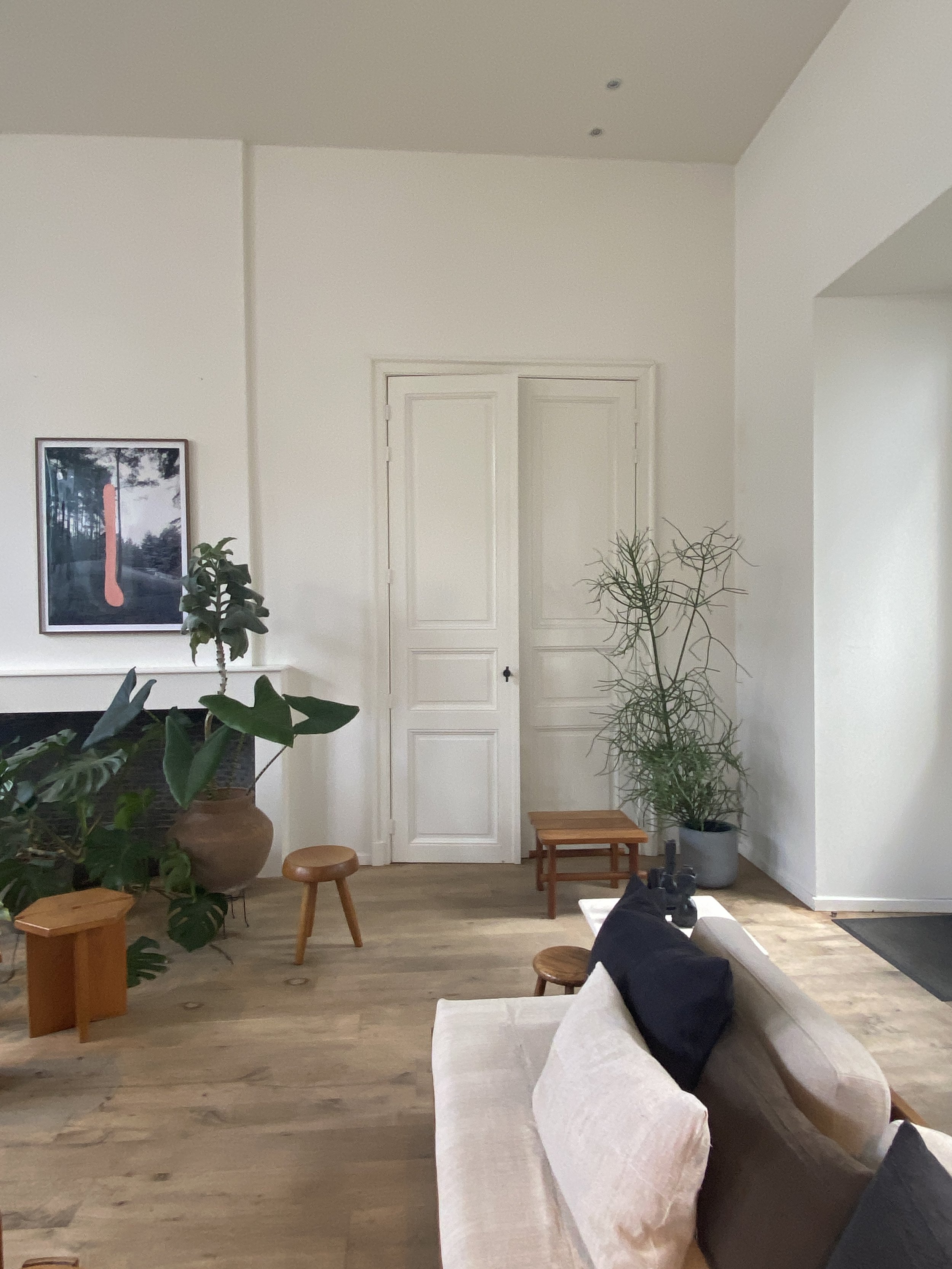 Living room with a white sofa, black pillows, wooden stools, large indoor plants, a fireplace with artwork, and a closed door in the background.