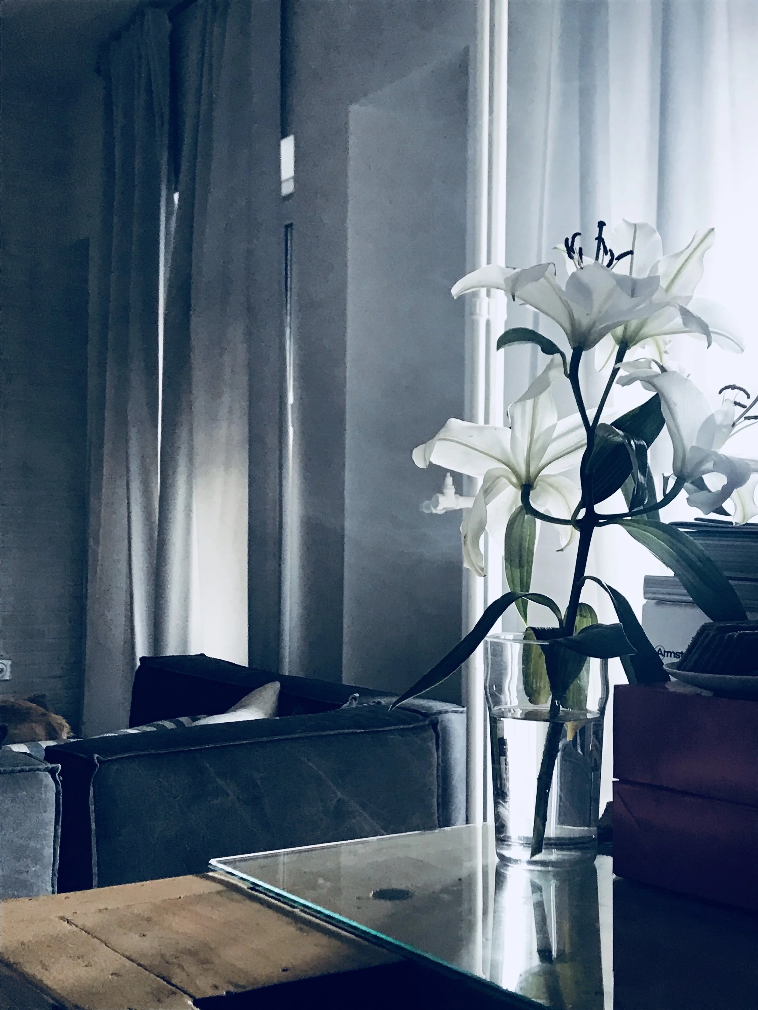 A living room scene with a dark-colored sofa, a glass coffee table, and a potted plant with white lilies near a window with curtains.