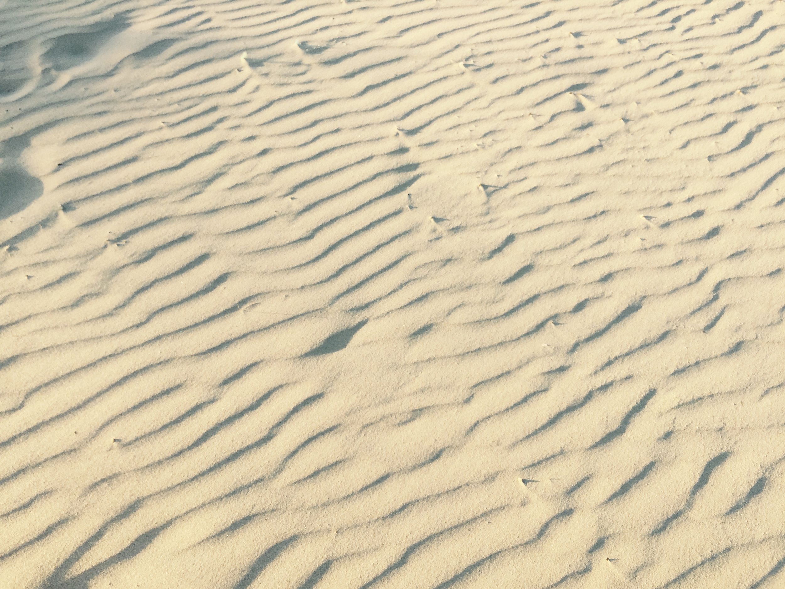 Close-up view of sandy desert with rippled patterns in the sand.