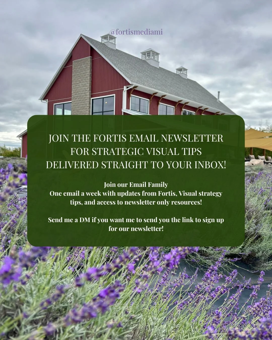 Did you know that Fortis Media has an email newsletter? 💌

That's right! Every week, I share visual business tips and tricks to help solo entrepreneurs, small businesses, and creative service providers take their visuals to the next level, with blog