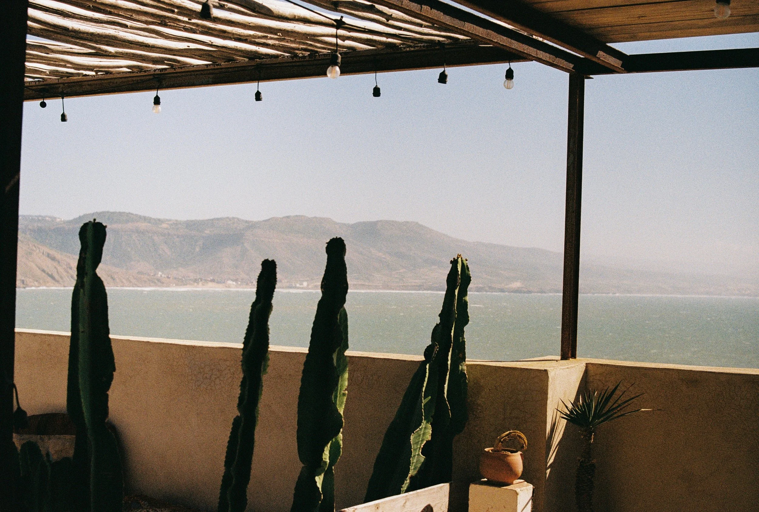 Daphné Nougues-16.jpg