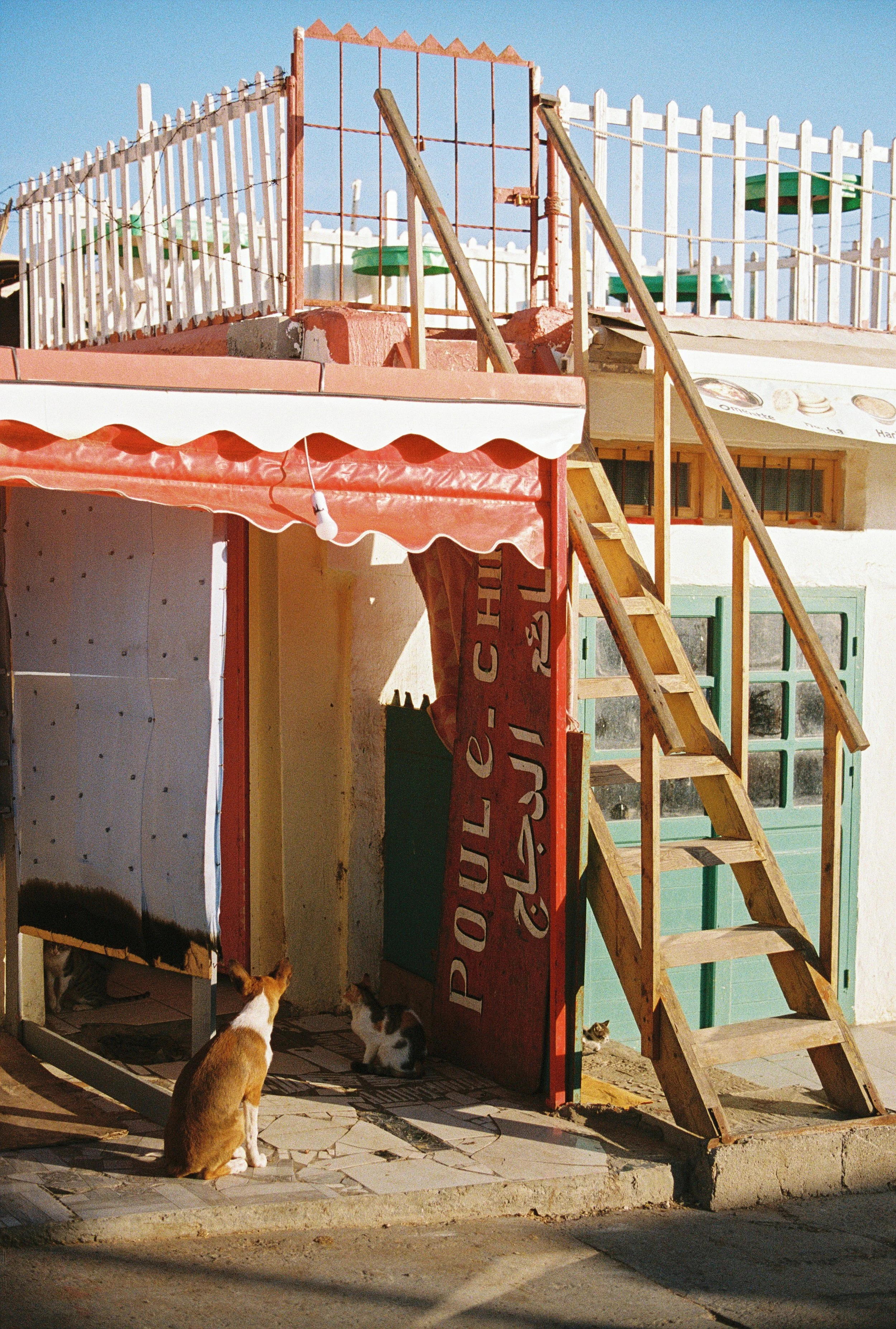 Daphné Nougues-57.jpg