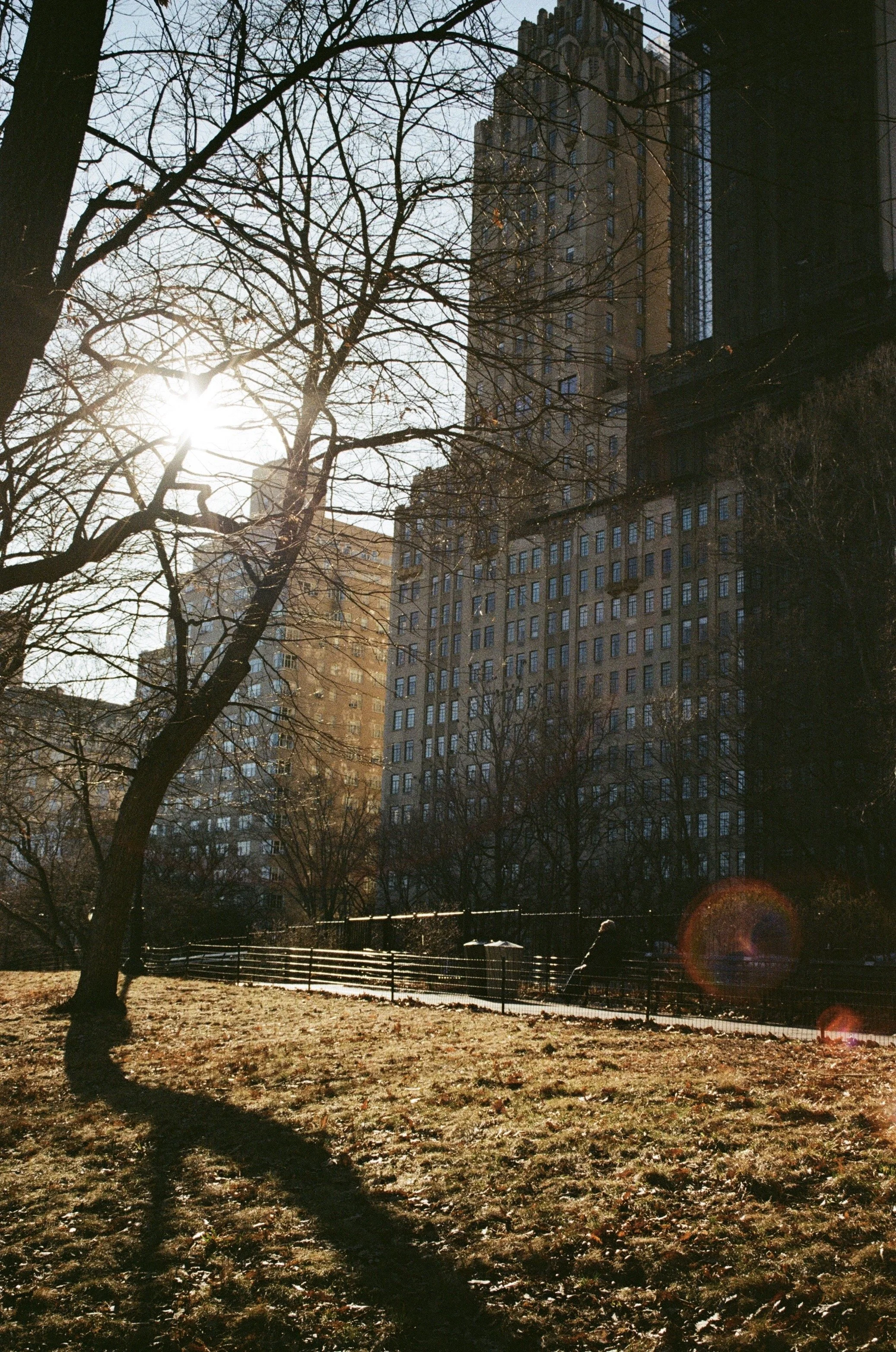 IMG_1821.jpg