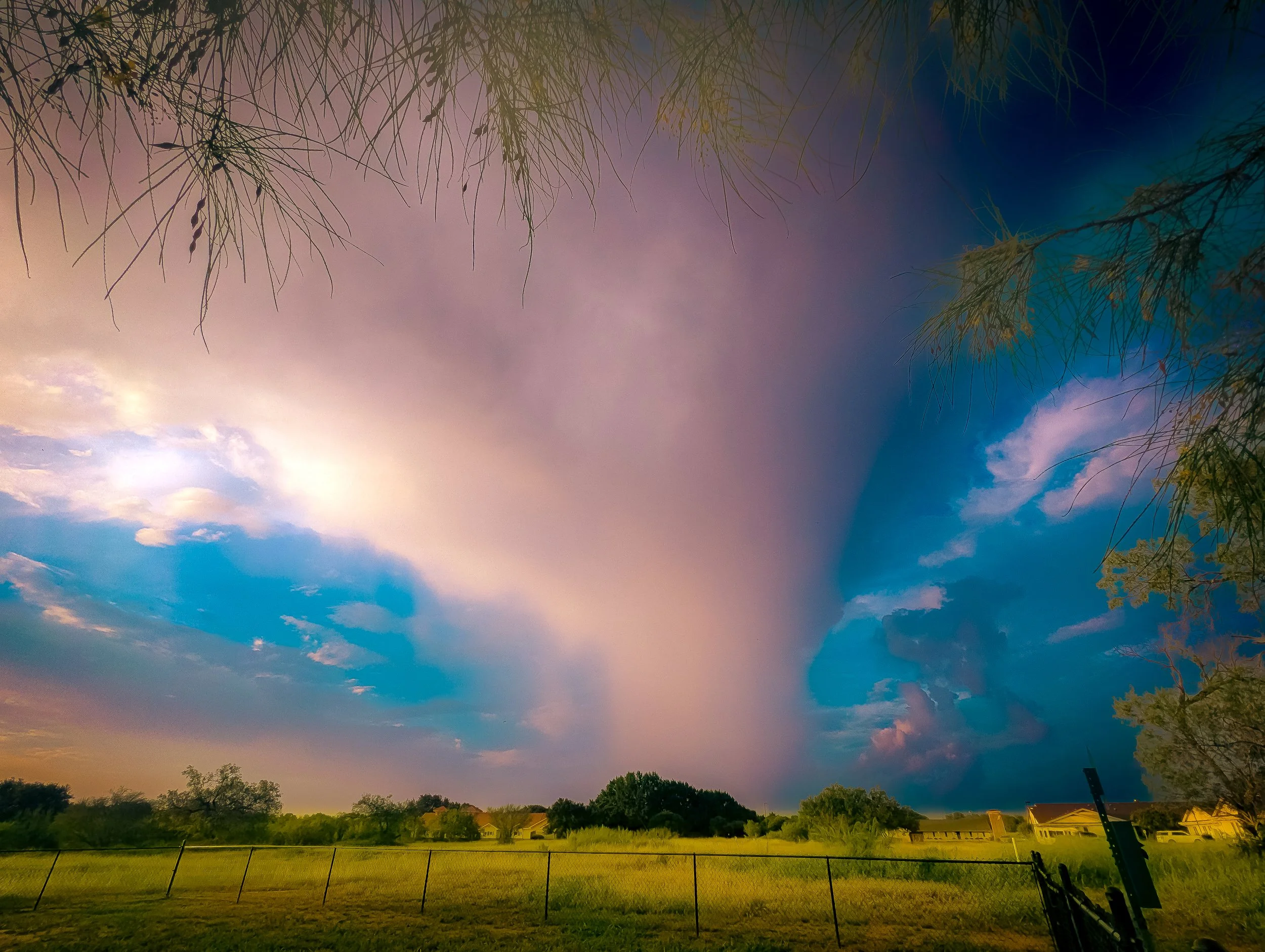 A wide view of the sky during sunset with pink, purple, and blue clouds and tree branches in the foreground.