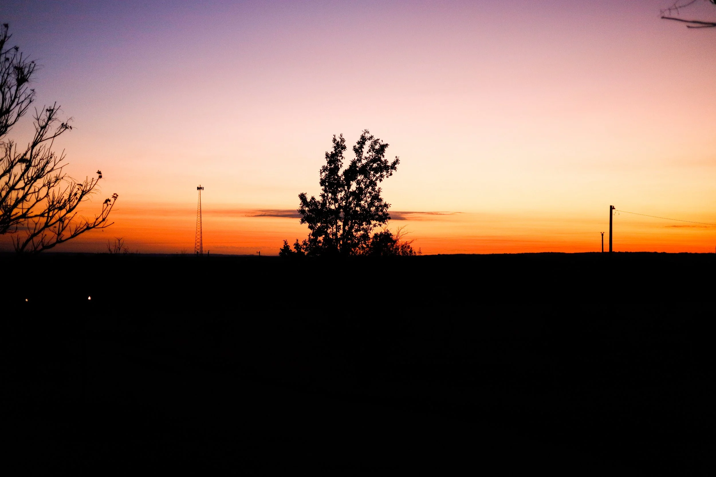 _MG_0727.jpg