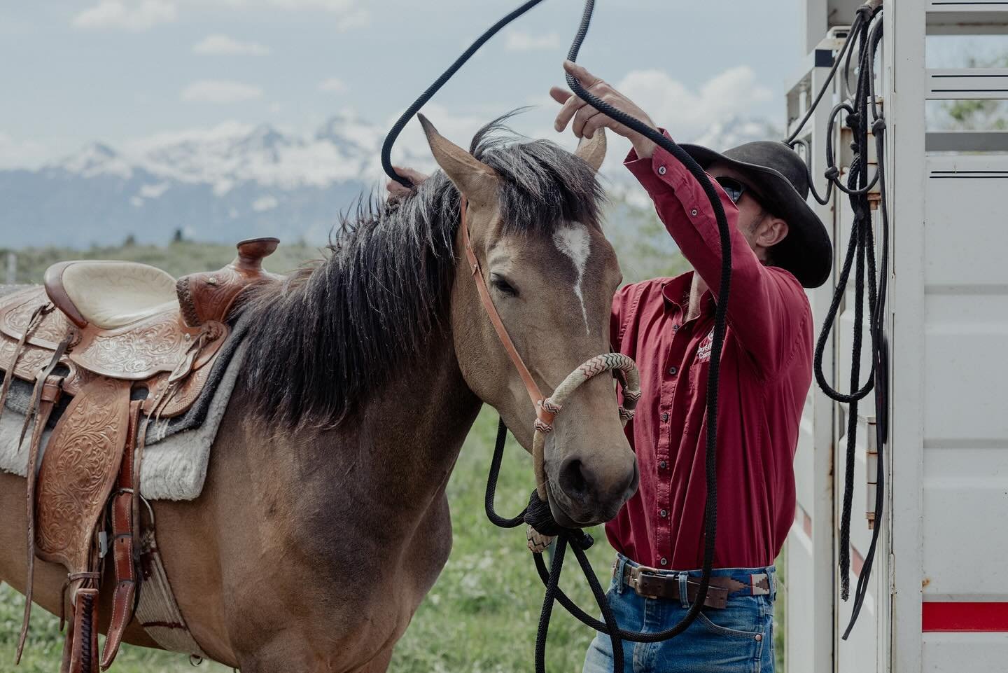 Bumblebee needs your Help! Please read!!

This is by far the coolest horse I have ever had the opportunity to train. She has quickly turned into my favorite horse out of our entire herd. 

Bumblebee was originally Wild or a &ldquo;mustang&rdquo; runn