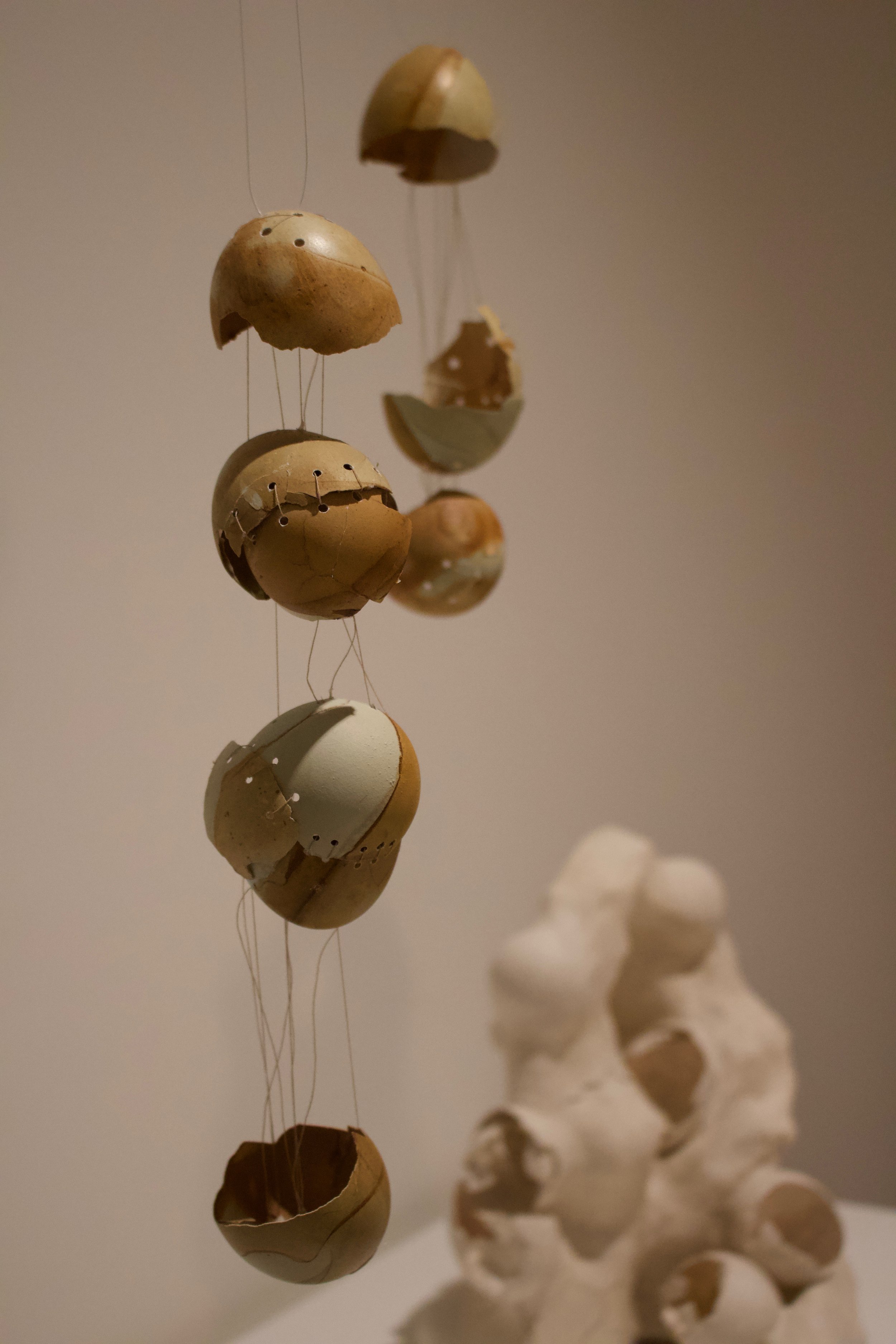egg study (no. 2), 2024. Tea-dyed blue eggshells, thread