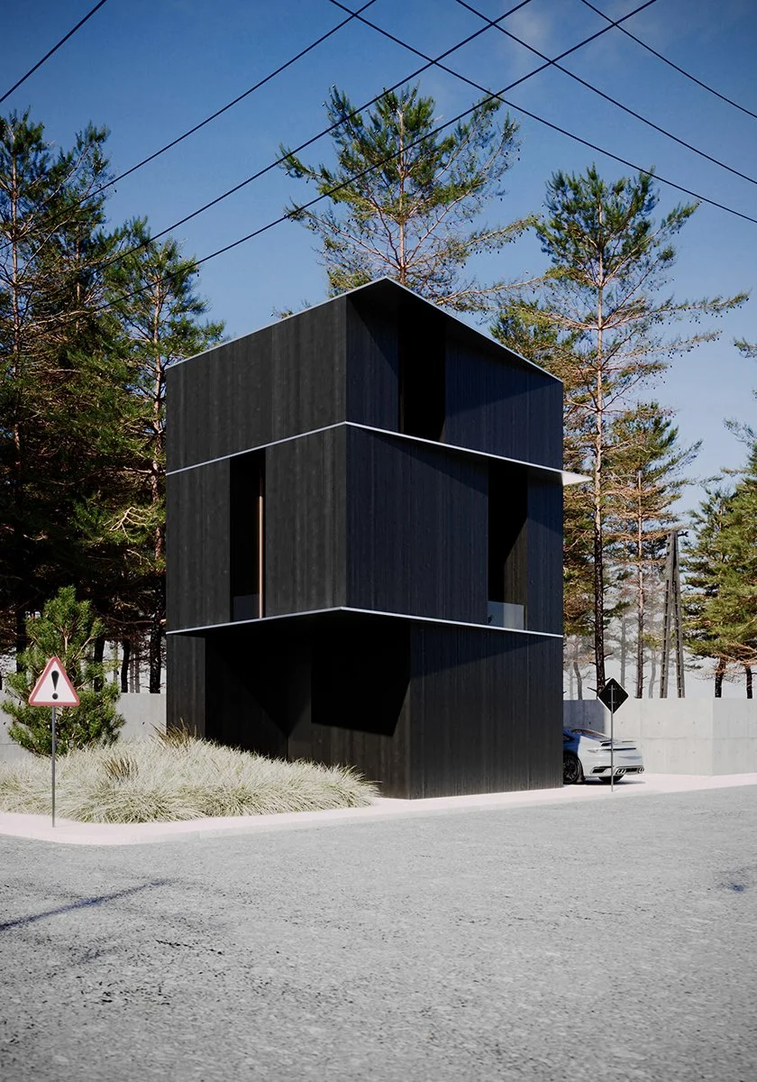 Modern-minimal-black-house-front-view