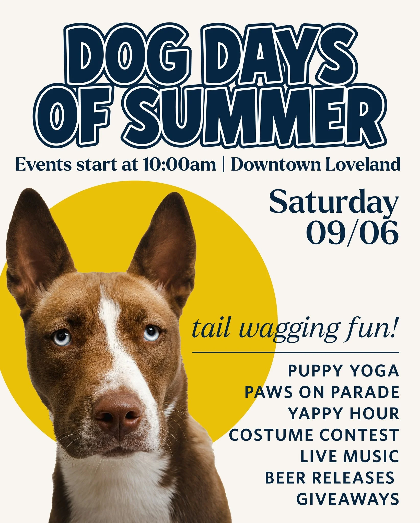 Saturday, September 6th, we're celebrating our furry friends! Get ready for a paws-itively amazing day in Downtown Loveland. Dog Days of Summer is a full-on celebration of pups, patios, and community&mdash;featuring a lineup of fun for you and your f