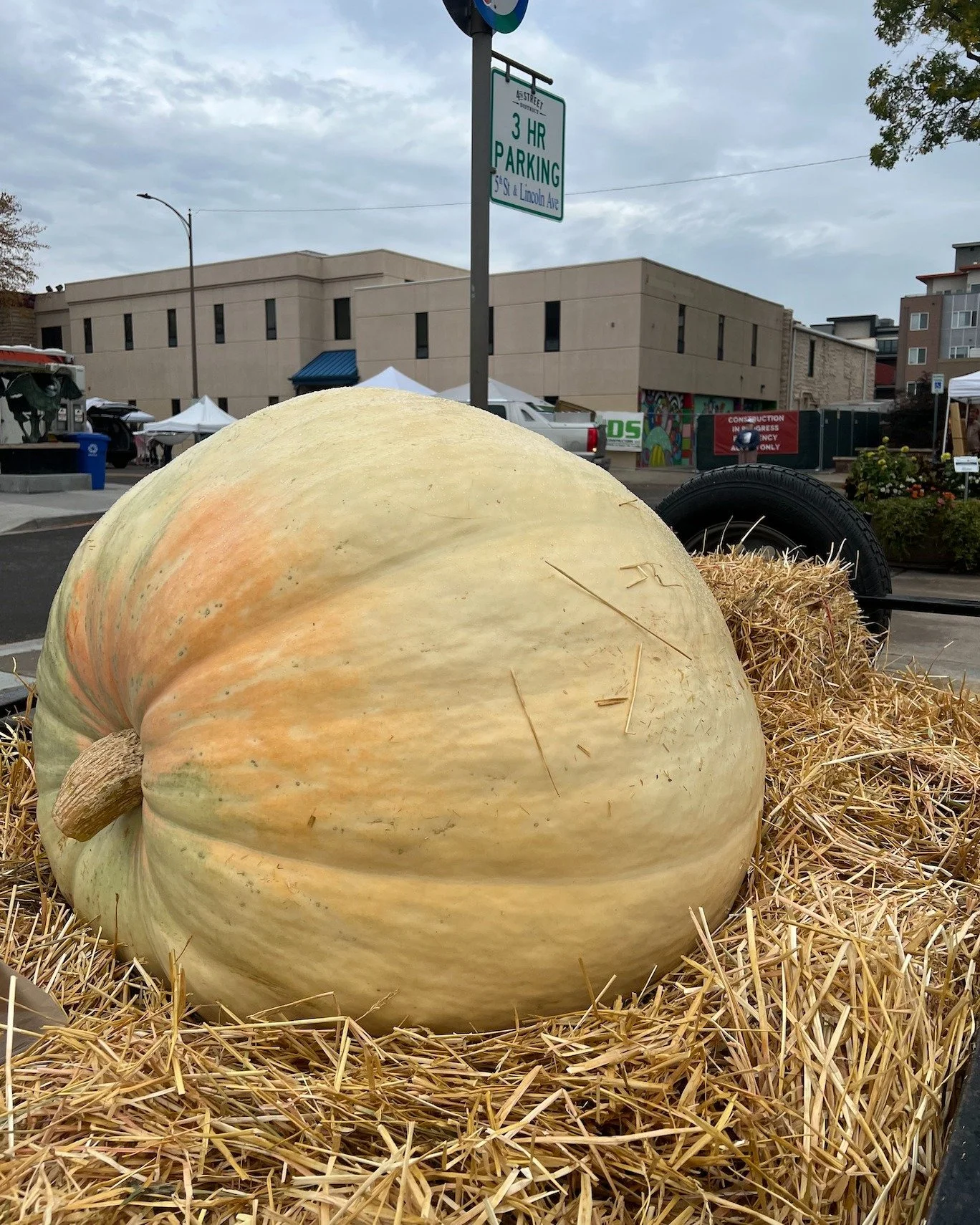 🥁🥁🥁 drum roll please.... The final weight of our GIANT pumpkin is.... 430lbs!!!
Congrats to Reuben Maguire with a guess of 432lbs!! 👻🎃

We have a Downtown Loveland gift card waiting for you! We'll be reaching out via email to coordinate getting 