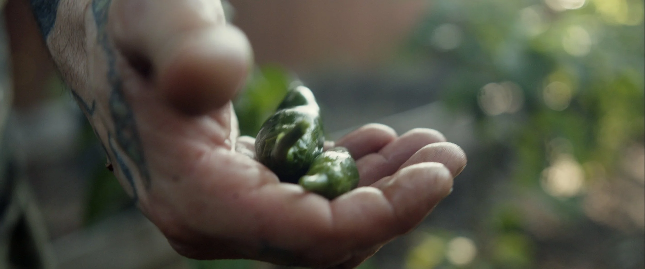 Image 8-24-23 at 1.56 PM.JPG