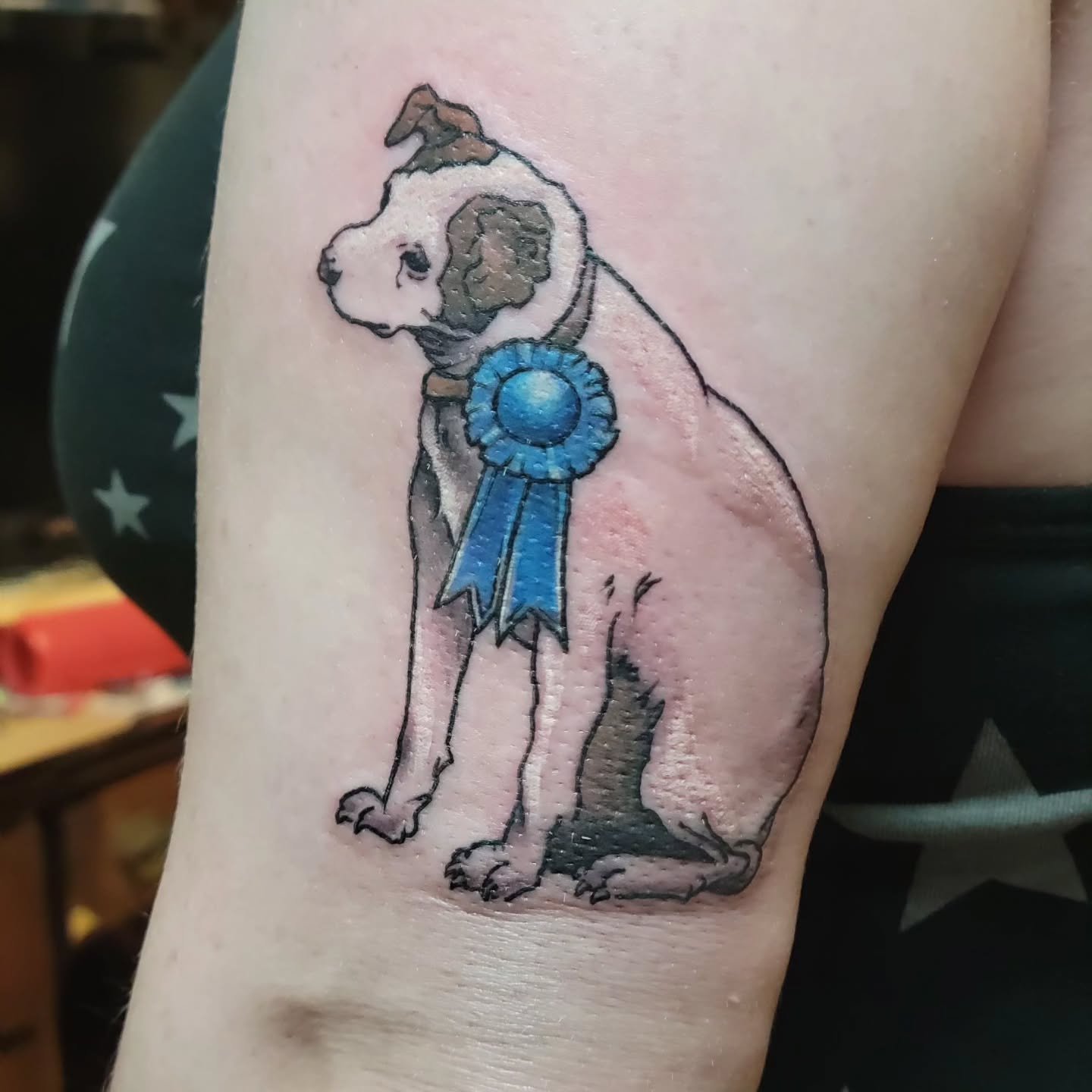 I got to do a realy sweet nipper memorial nit too long ago ♡ this was a lot of fun ♡ thanks for the trust
Always scheduling.
Schedule a consult online at www.JulietteTattoos.com
Thanks!