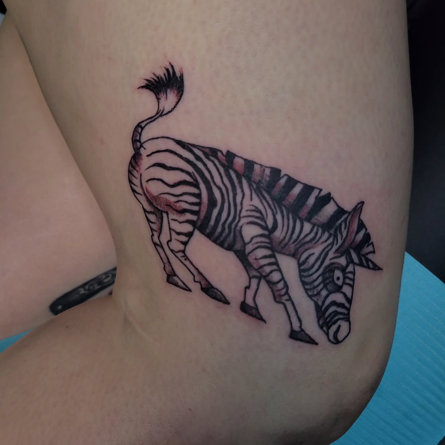 I got to create this super cute Tim burton zebra unicorn not too long ago! This was a custom request that I pit together. I love stuff like this ♡ I might draw up more Tim burton style animals. What kind of animals would you want to see?