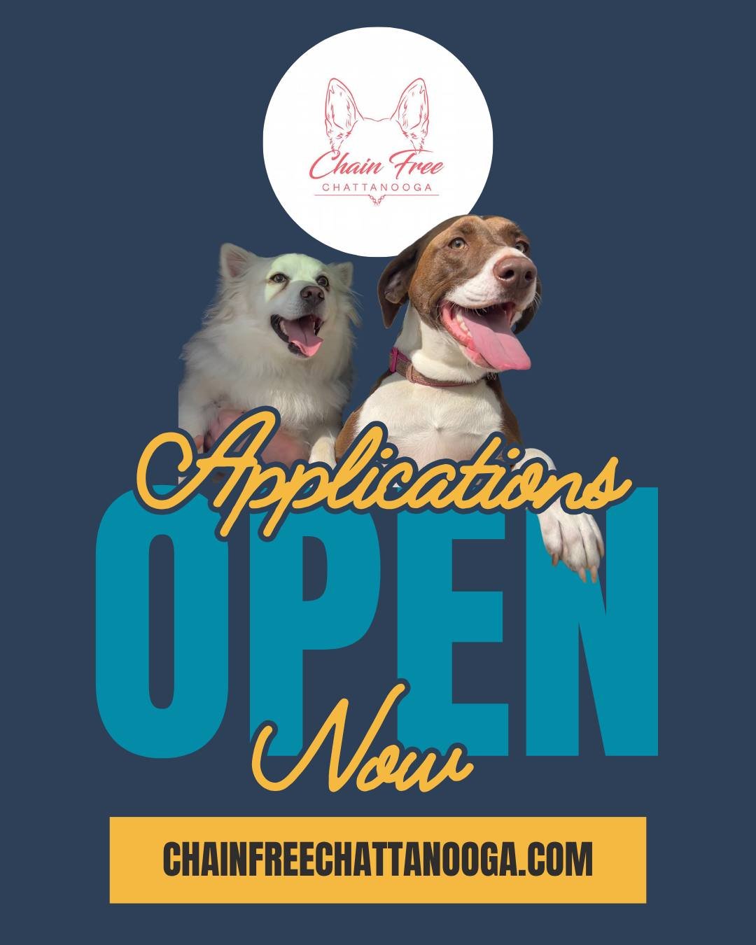 FENCE APPLICATIONS ARE OPEN! ⛓️
After an incredible summer breaking chains and building freedom, we're ready to help more dogs in our community.
Our mission goes beyond fences. Every dog we help stays OUT of overcrowded shelters and IN their home w