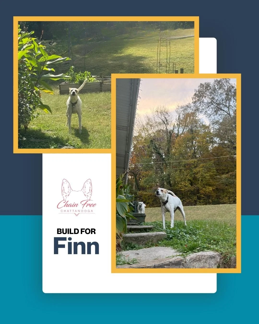 𝗙𝗲𝗲𝗹 𝗚𝗼𝗼𝗱 𝗙𝗿𝗶𝗱𝗮𝘆! 
Meet Finn 💙 This November, we had the privilege of building a fence that means more than just boundaries. For his owner, Finn isn't just a pet&mdash;he's a lifeline, a source of comfort and support through life's cha