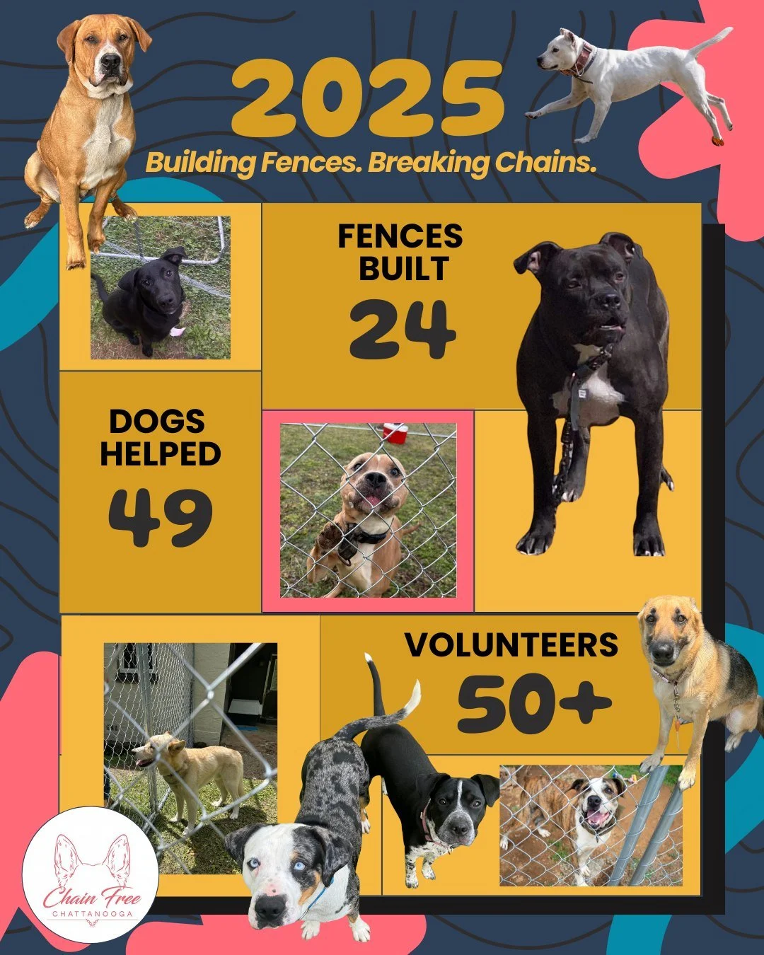 𝟒𝟗 𝐝𝐨𝐠𝐬. 𝟐𝟒 𝐟𝐞𝐧𝐜𝐞𝐬. 𝟓𝟎+ 𝐚𝐦𝐚𝐳𝐢𝐧𝐠 𝐯𝐨𝐥𝐮𝐧𝐭𝐞𝐞𝐫𝐬. 𝐎𝐧𝐞 𝐢𝐧𝐜𝐫𝐞𝐝𝐢𝐛𝐥𝐞 𝐜𝐨𝐦𝐦𝐮𝐧𝐢𝐭𝐲. ⛓⛓⛓

Thank you for making 2025 a success. We can't wait to see what we'll accomplish together in 2026! Let's do this! 🐾