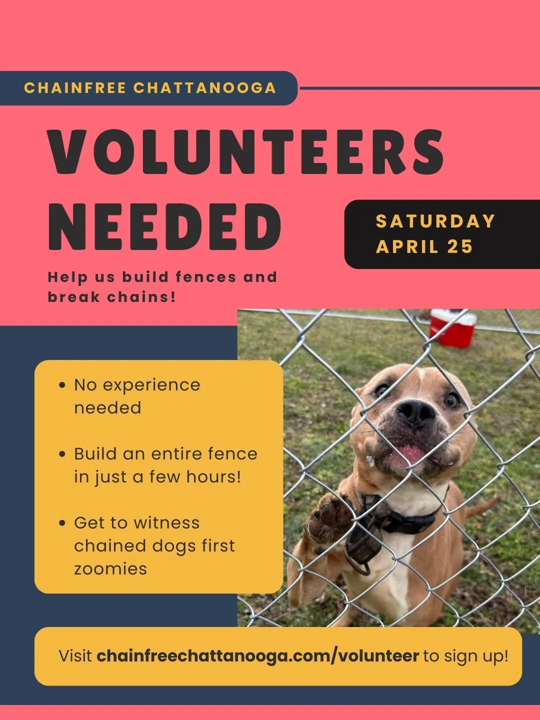 Our next build day is SATURDAY, APRIL 25th, and we're looking for volunteers! 🛠️ No skills required. We'll teach you everything. You'll leave having built a full fence AND watched a chained dog run free, safely in their yard. Sign up to join us at c