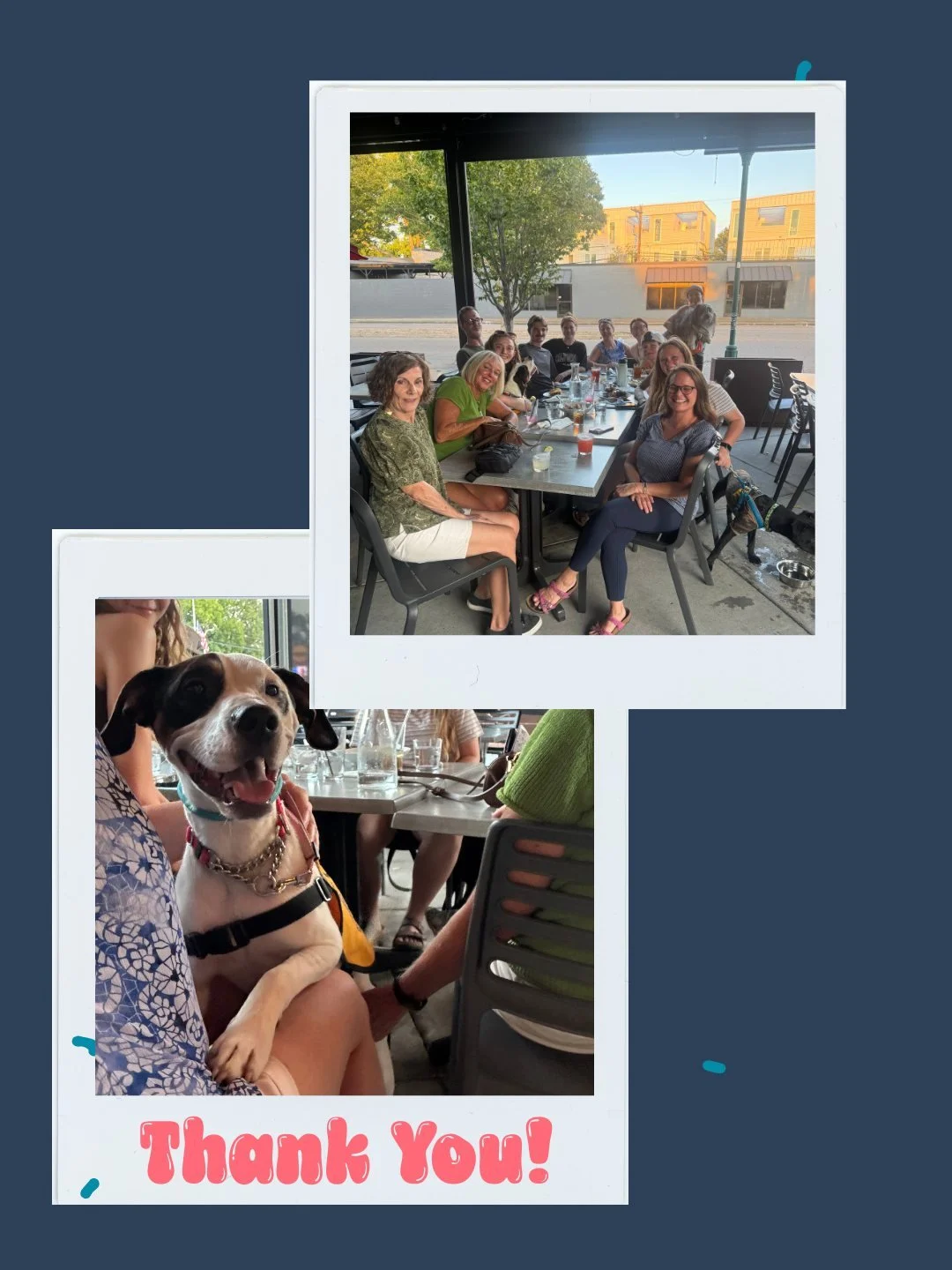 THANK YOU, Chattanooga! 💛
On September 16, you filled the tables at Honey Seed for our Give Back Night, and together we raised $2,700 in a single evening.
Friends, families, and volunteers showed up to share pizza and support dogs in our community. 