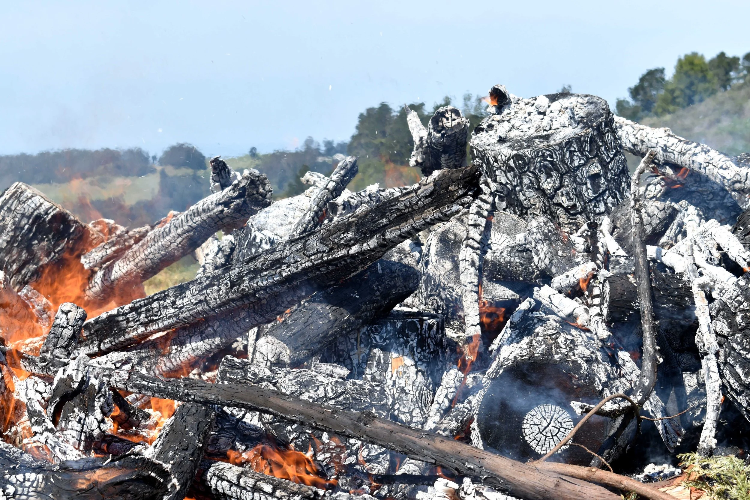 MUWEKMA OHLONE CULTURAL BURN