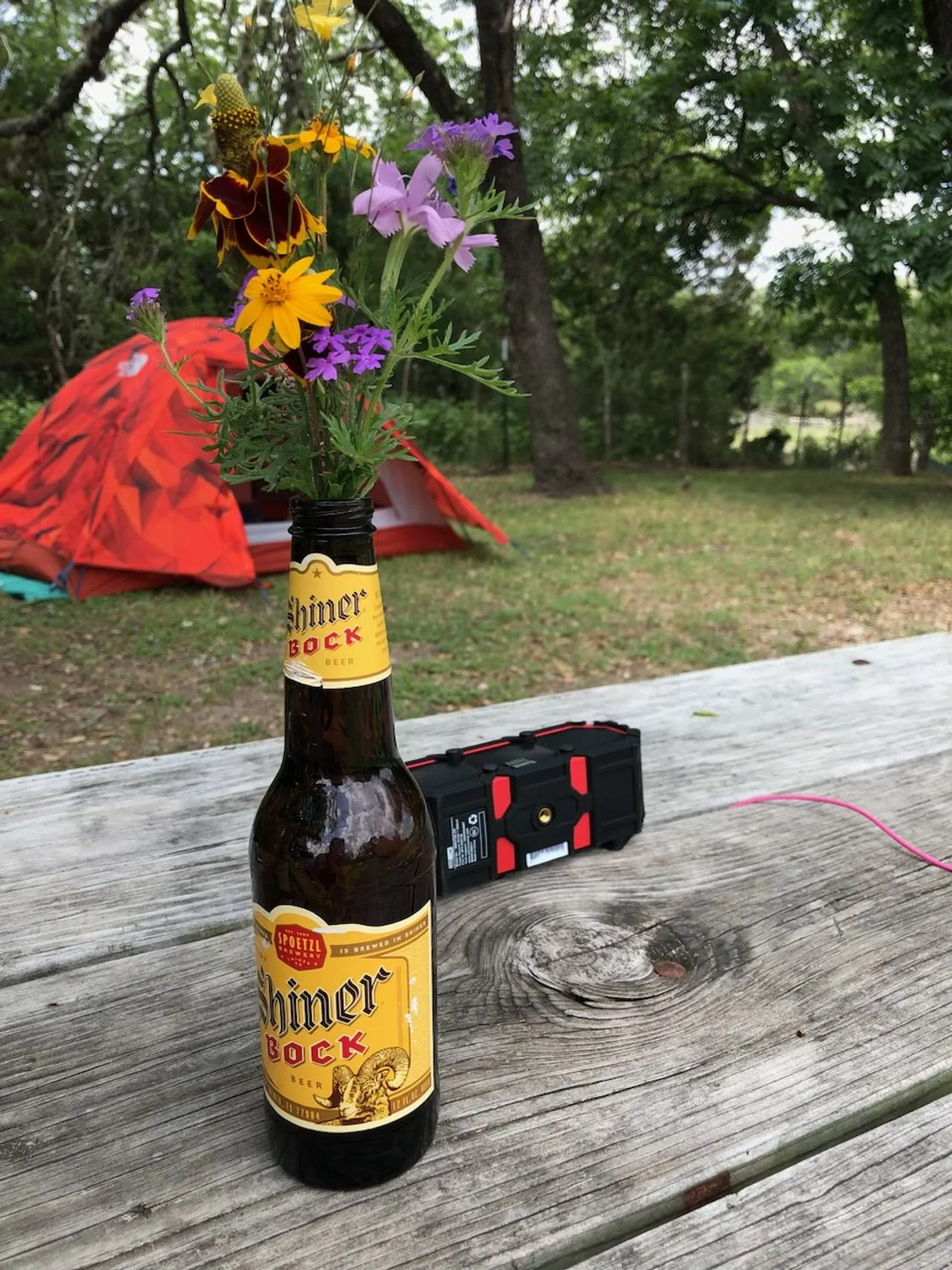 Campsite with a picnic table with a beer bottle and a camera and a red tent in the background