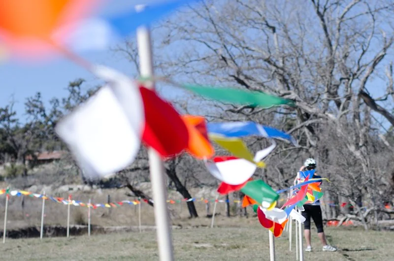 Colorful race course flags fluttering in the wind