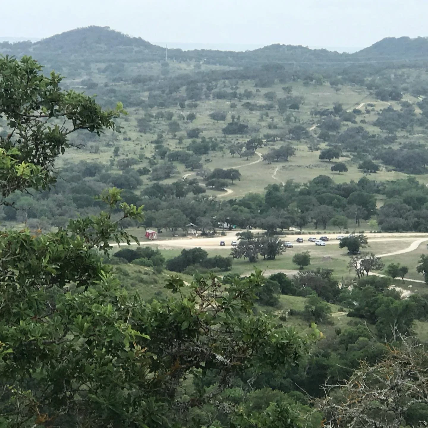 View across a green valley with trees and mountain bike trails