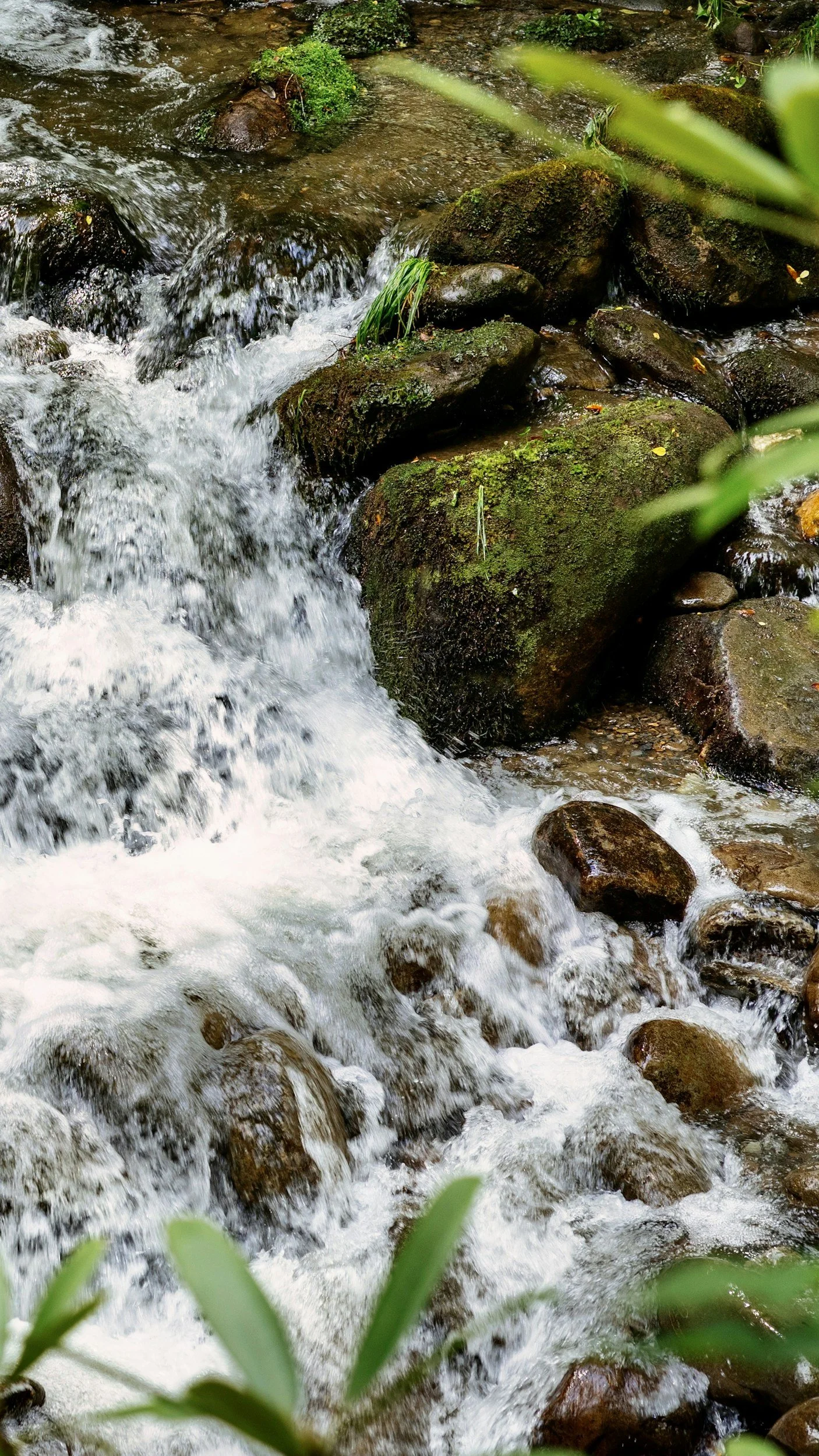 Water Delivery in Smoky Mountains, Well Water Delivery