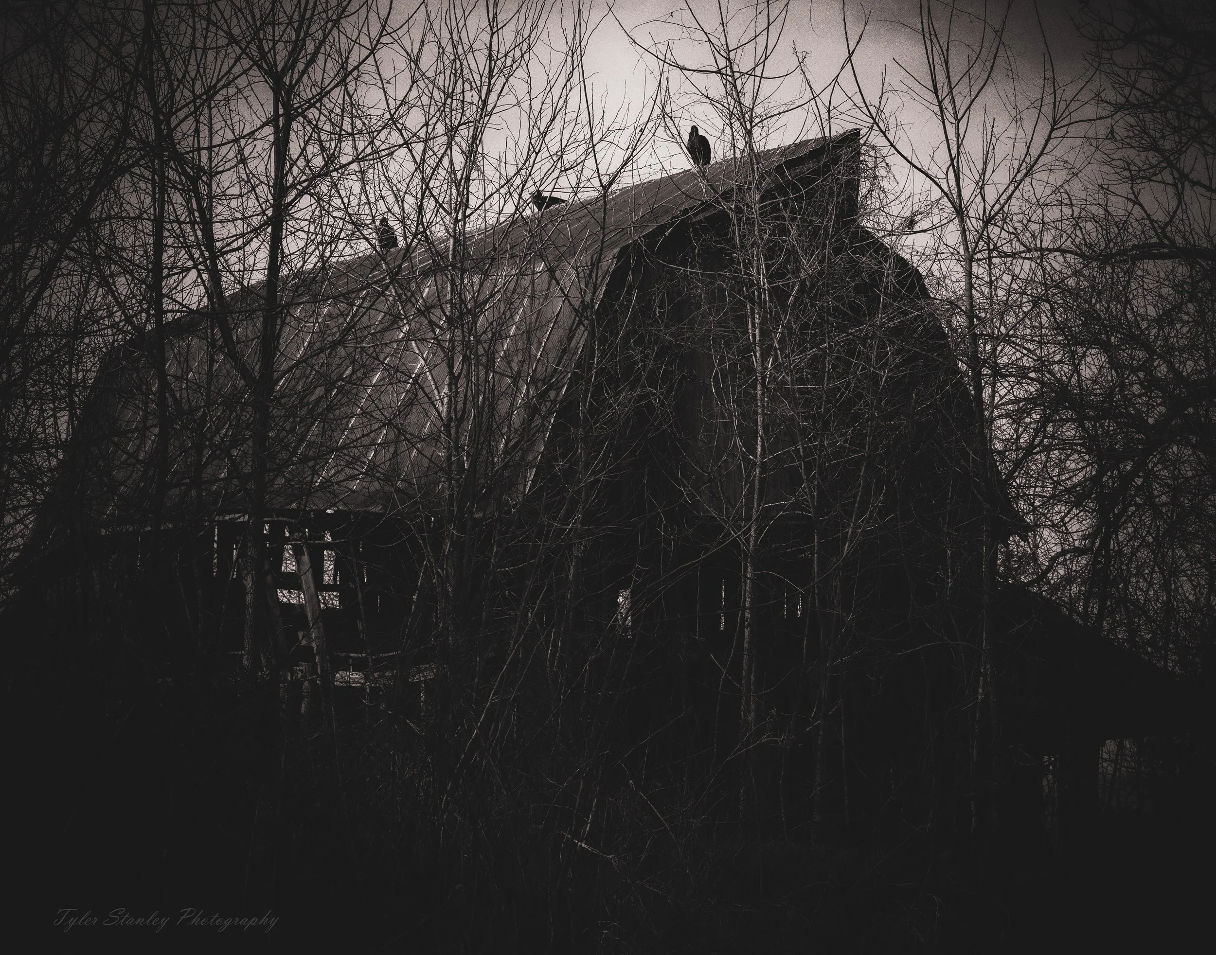 Old Spooky Barn.jpg