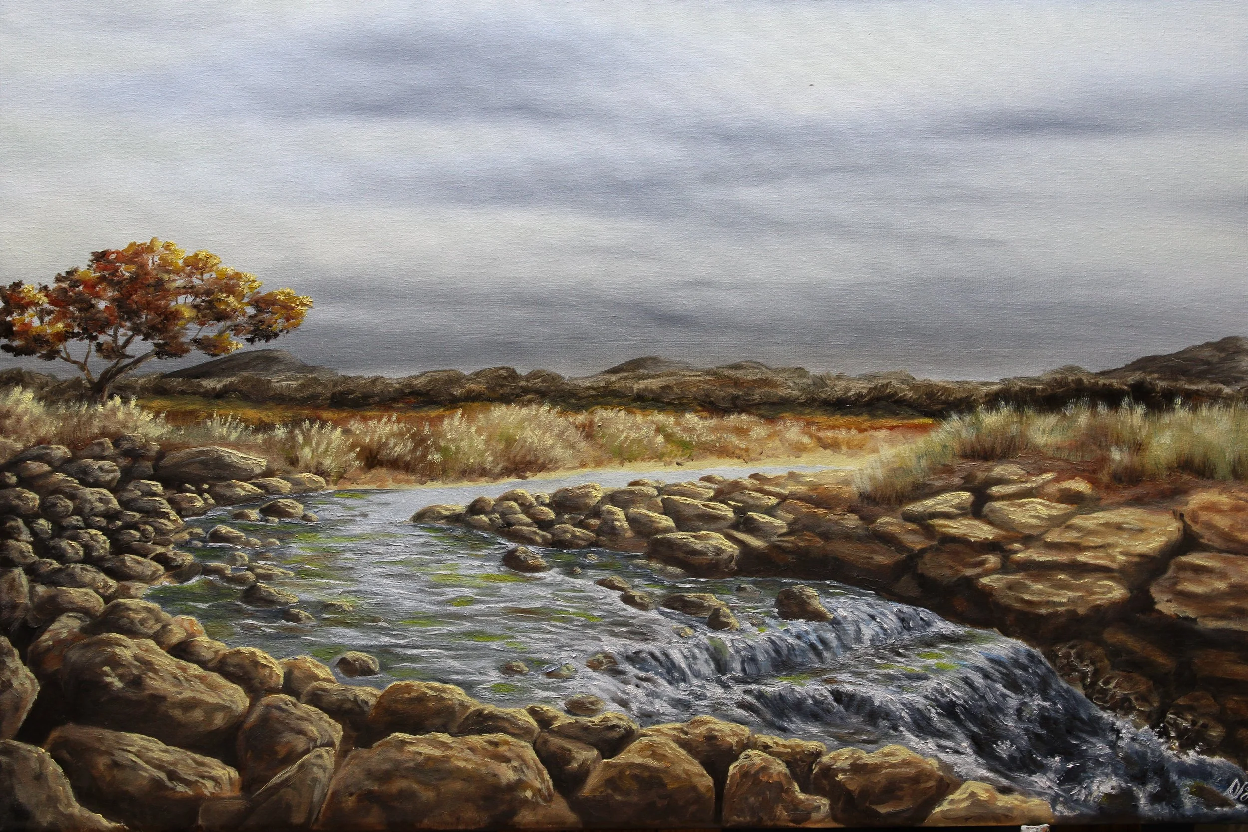 Arid Creek finished.JPG