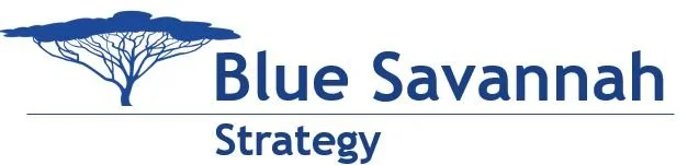 Blue Savannah Strategy - Clear Strategic Choices, Results Focused Execution