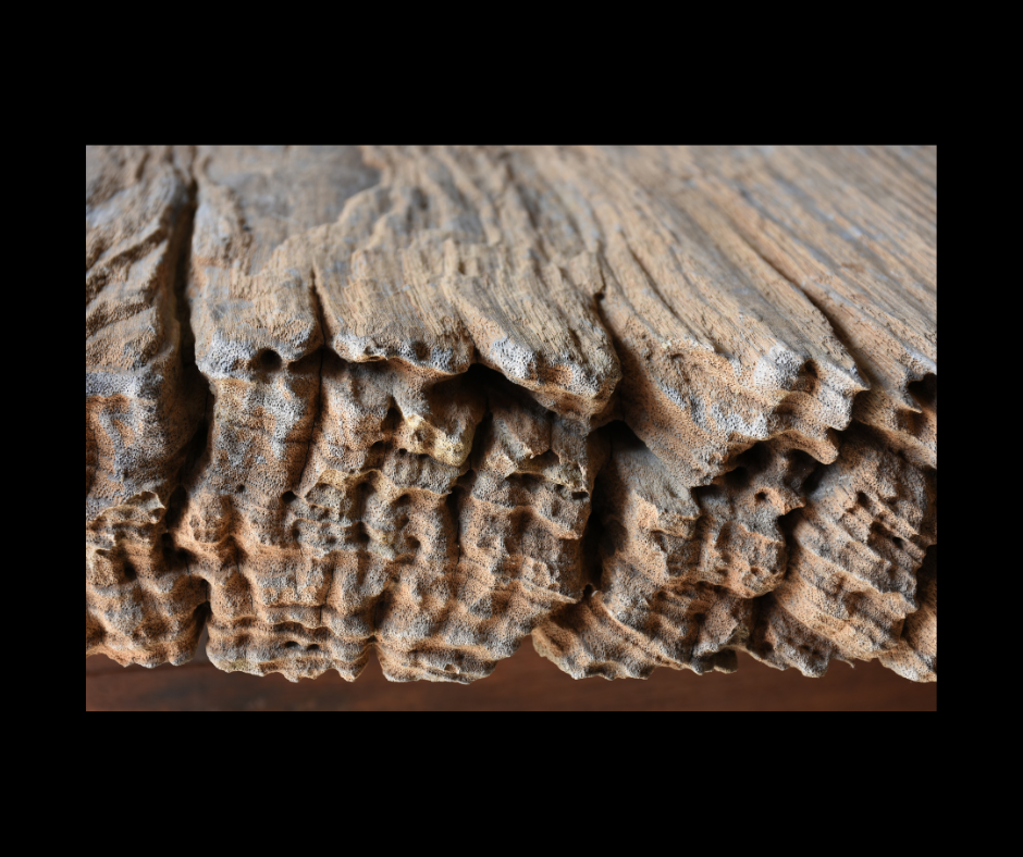 Teakwood