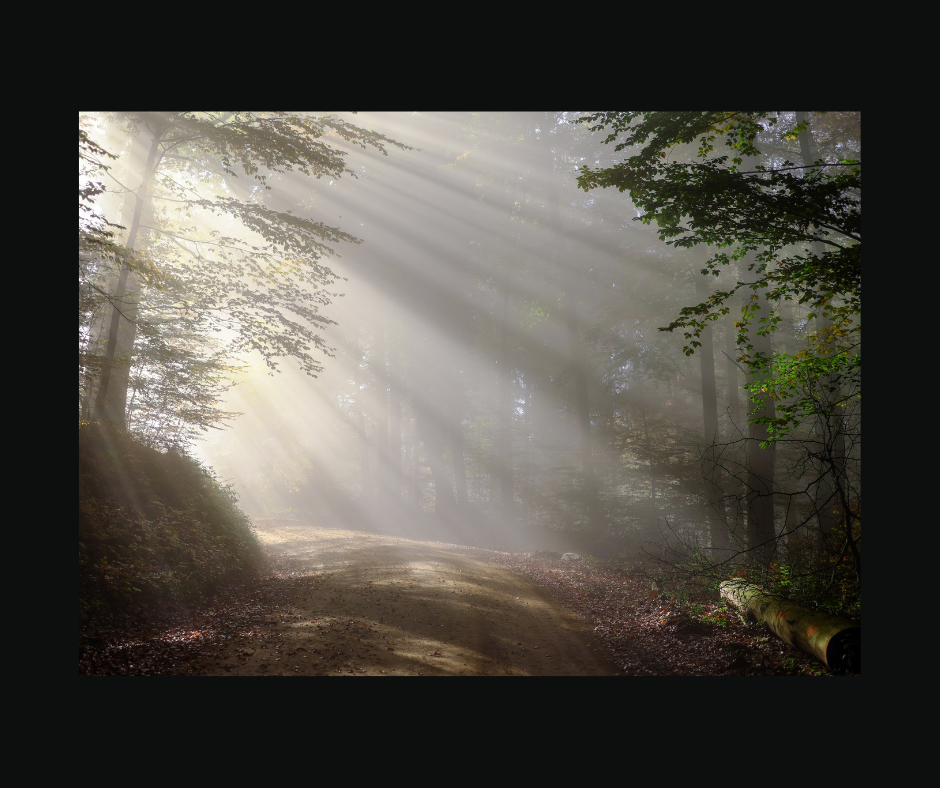Mountain Mist