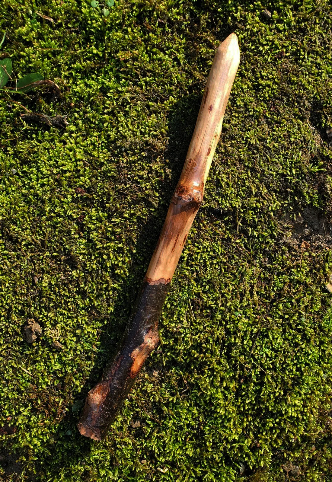 Appalachian foraged wood ritual wand with a pale smooth upper body, dark natural handle, natural knots, and pointed tip resting on green moss.