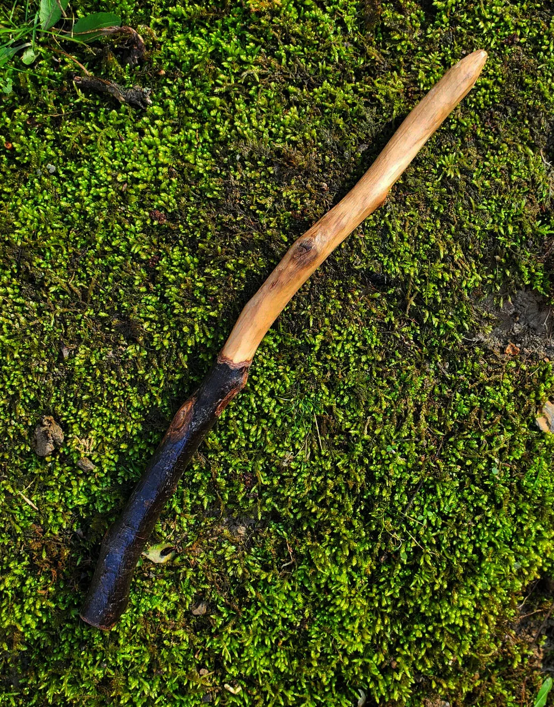 Appalachian foraged wood ritual wand with a dark natural handle, warm pale wood body, curved shape, and pointed tip resting on green moss.