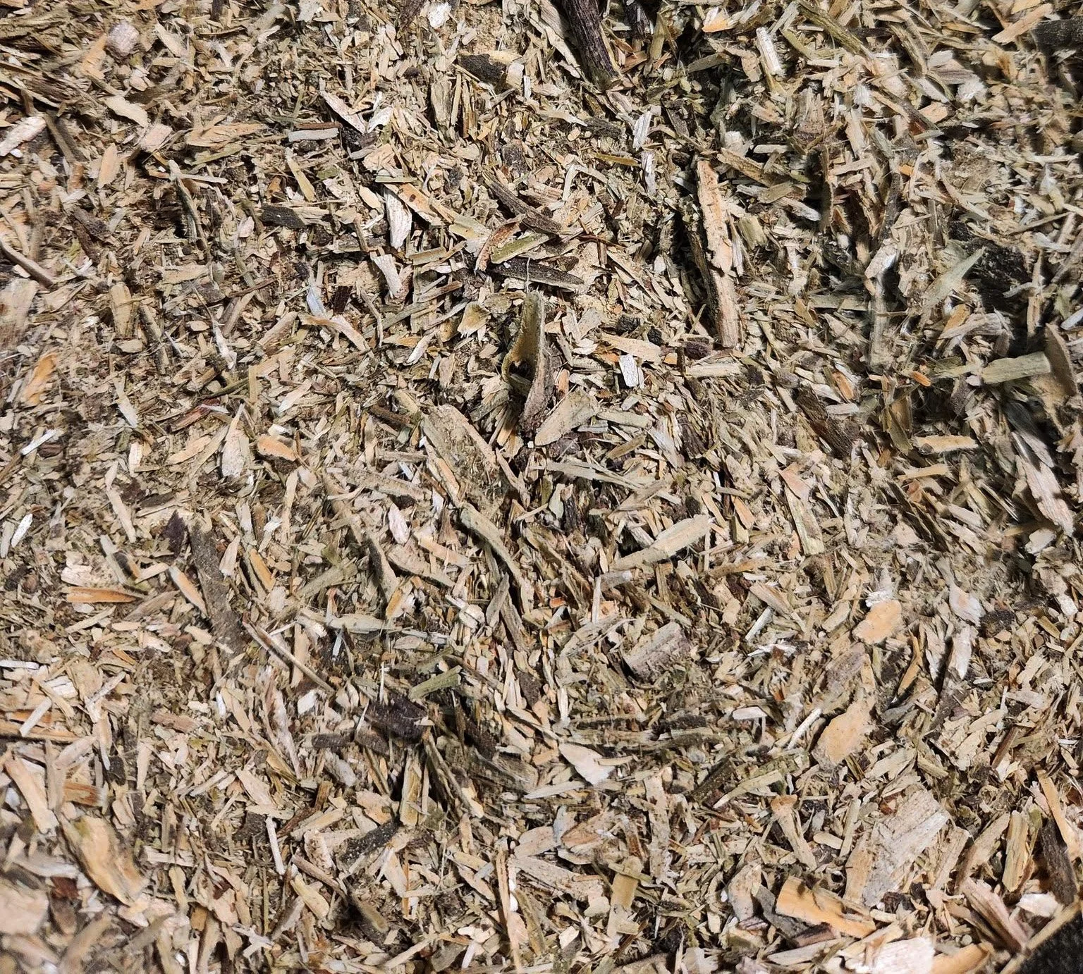 Ground Mimosa Bark