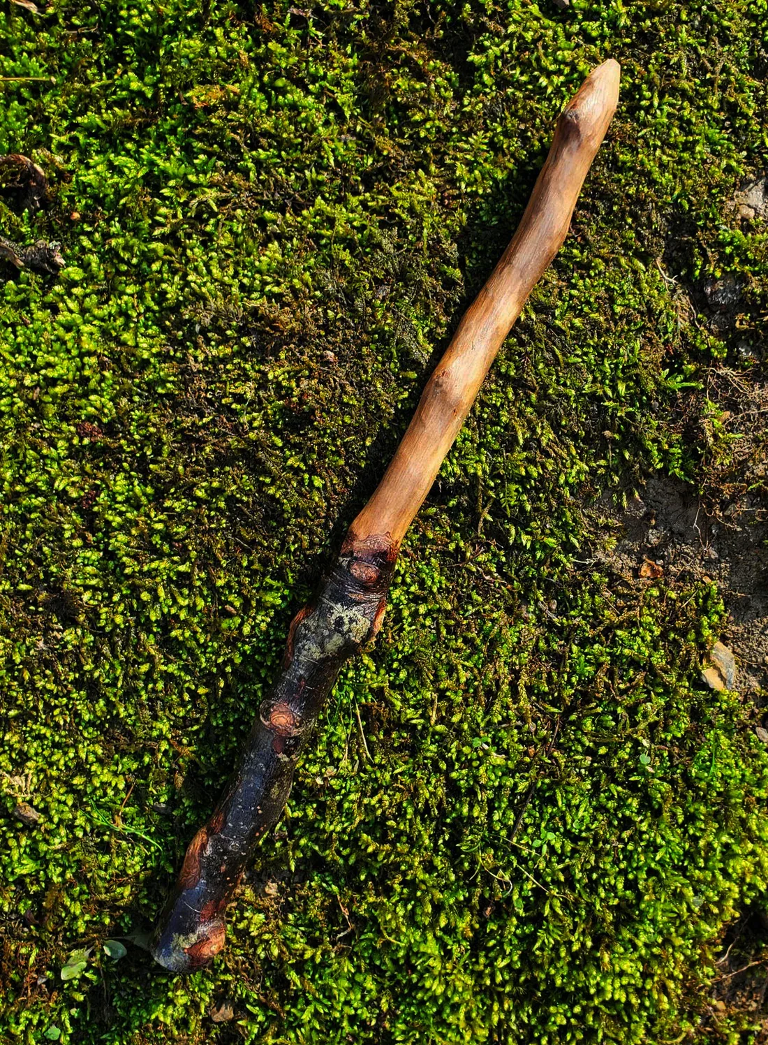 Appalachian foraged wood ritual wand with a dark mottled natural handle, pale smooth upper body, and pointed tip resting on green moss.