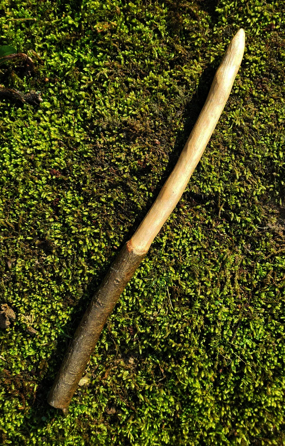 an Appalachian foraged wood ritual wand with a smooth pale upper body, darker natural bark handle, and pointed tip
