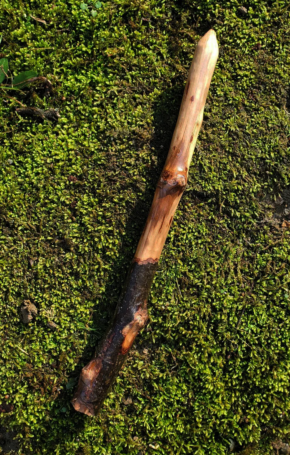 Appalachian foraged wood ritual wand with a pale smooth upper body, dark natural handle, natural knots, and pointed tip resting on green moss.