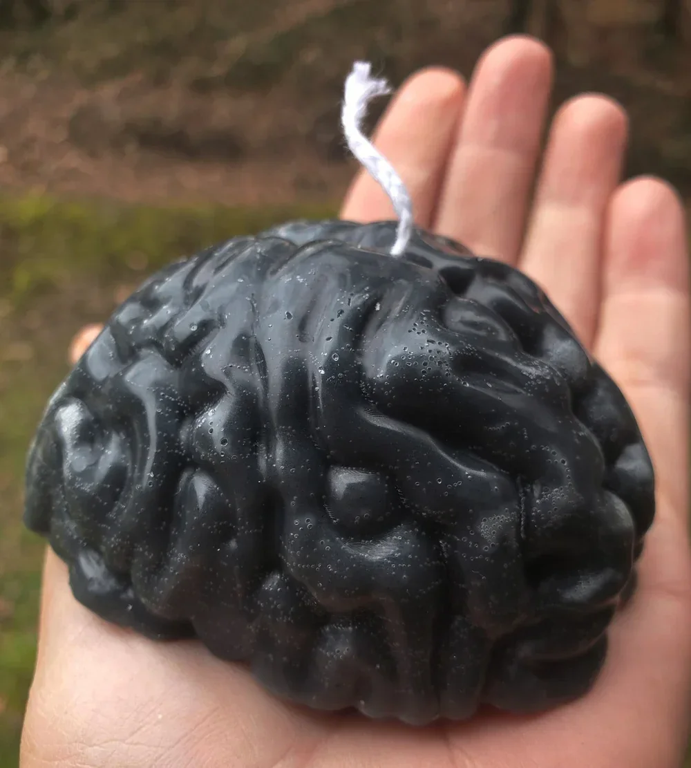 615702995_10173803538715596_8641010930682430006_n.webp